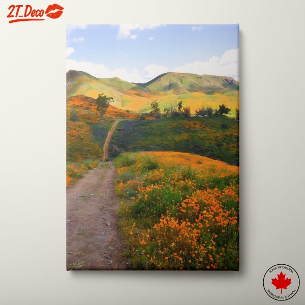 Vibrant Adventure in Wildflower Landscape