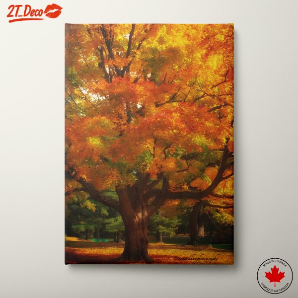 Autumn Tree Landscape with Vibrant Colors