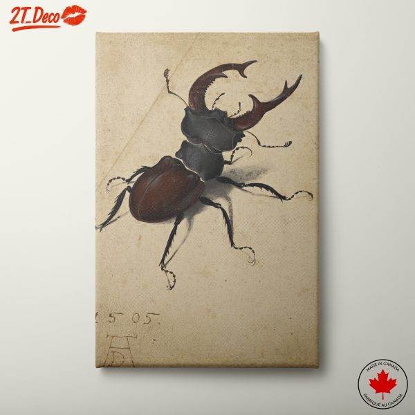 Realistic Beetle Illustration Art