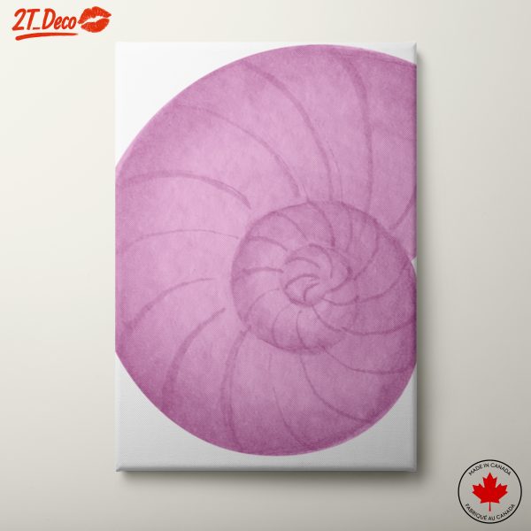 Stylized Botanical Nautilus Shell Art