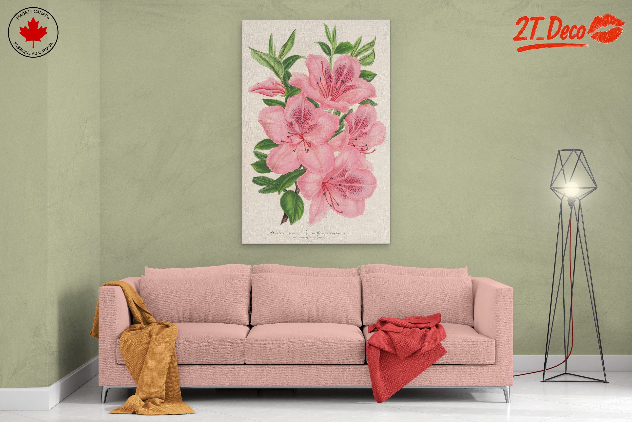 Beautiful Botanical Illustration of Pink Flowers - Image 2