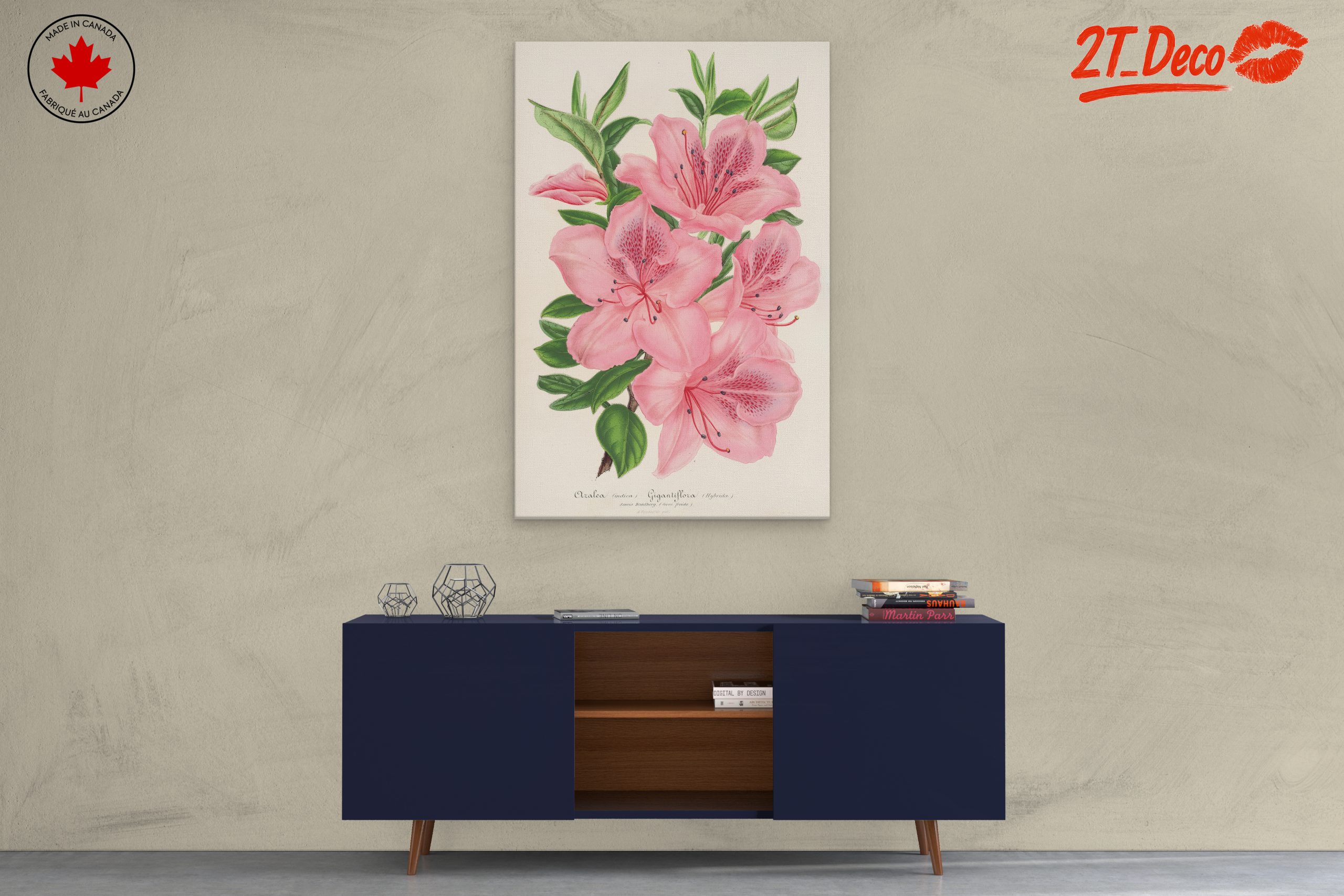 Beautiful Botanical Illustration of Pink Flowers - Image 3