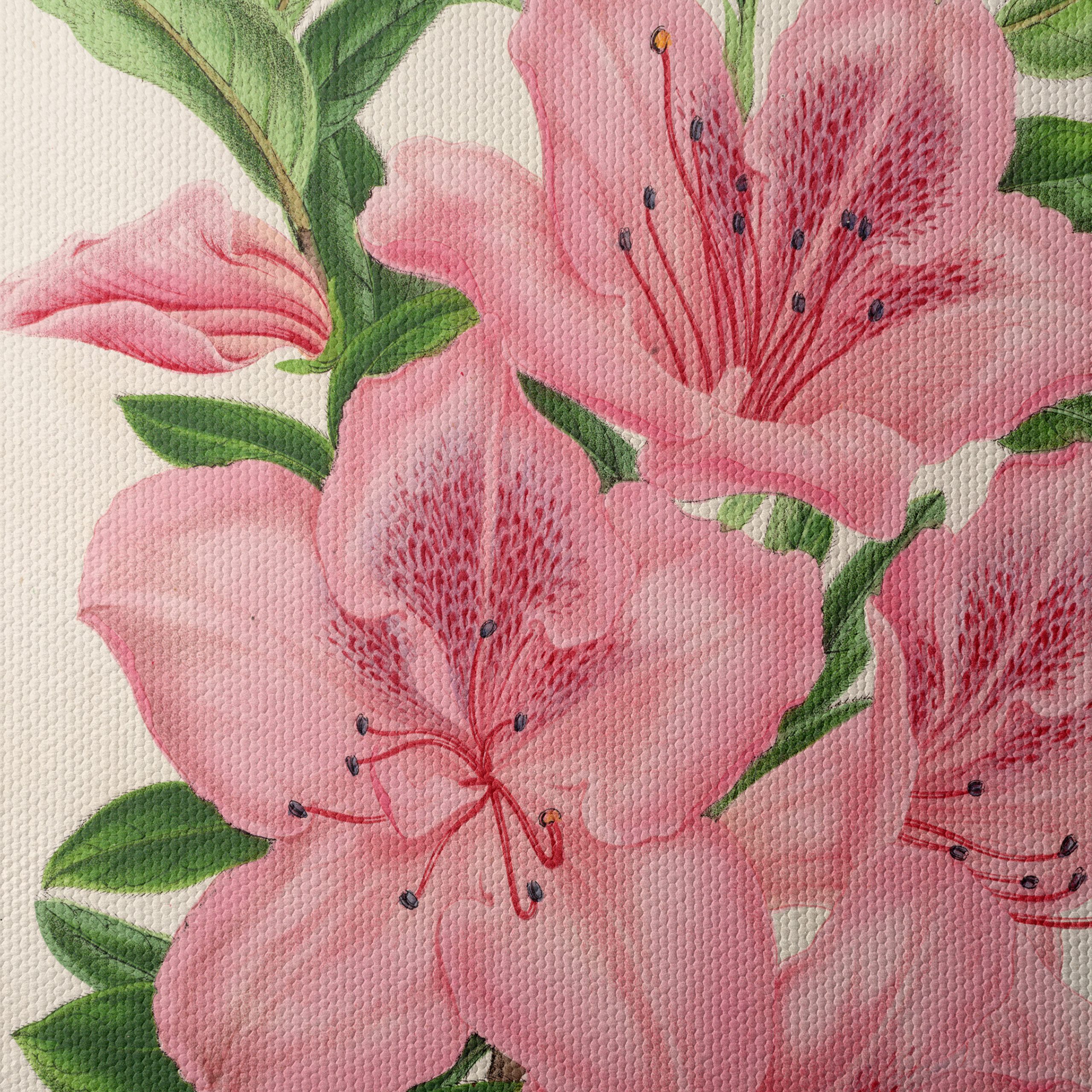 Beautiful Botanical Illustration of Pink Flowers - Image 4