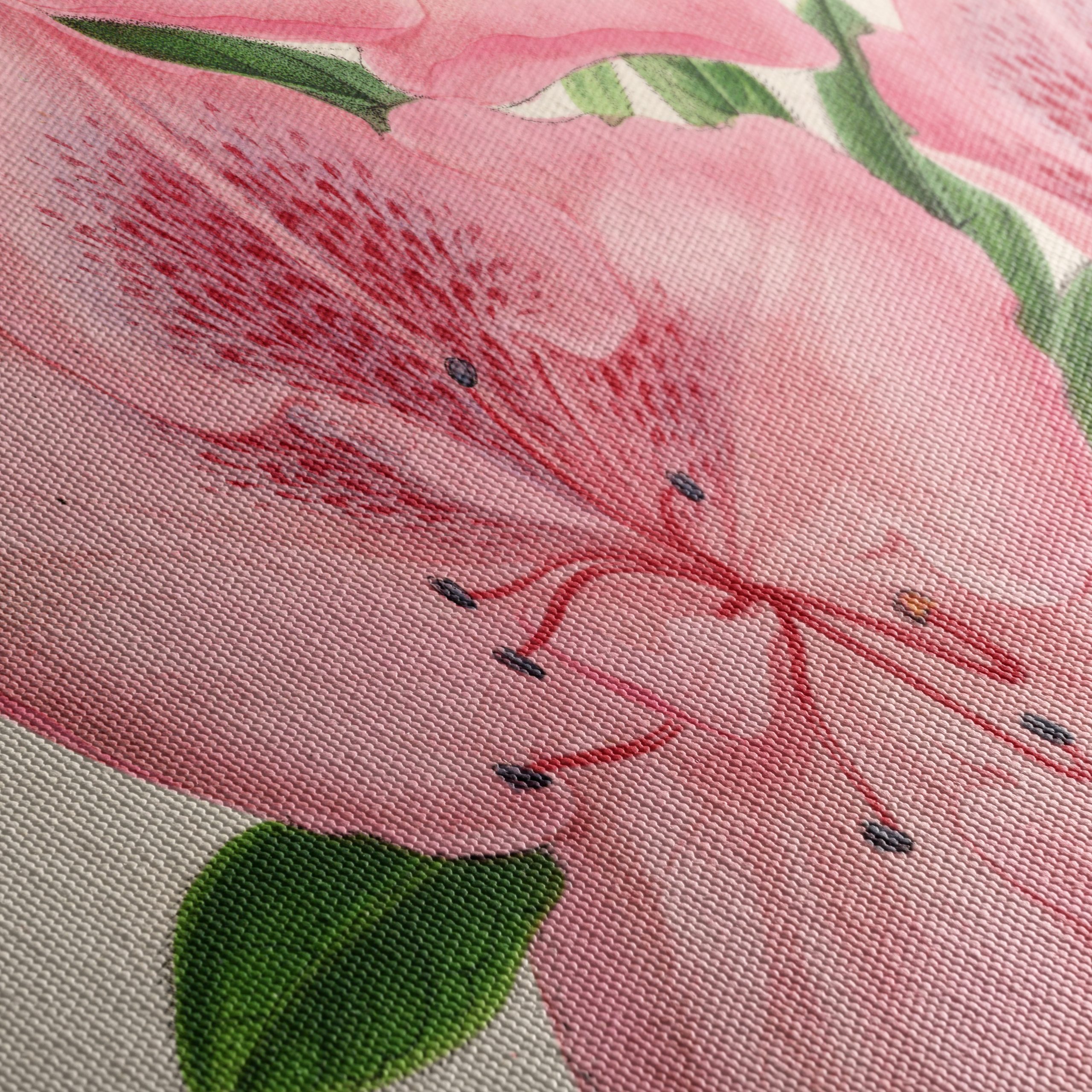 Beautiful Botanical Illustration of Pink Flowers - Image 5