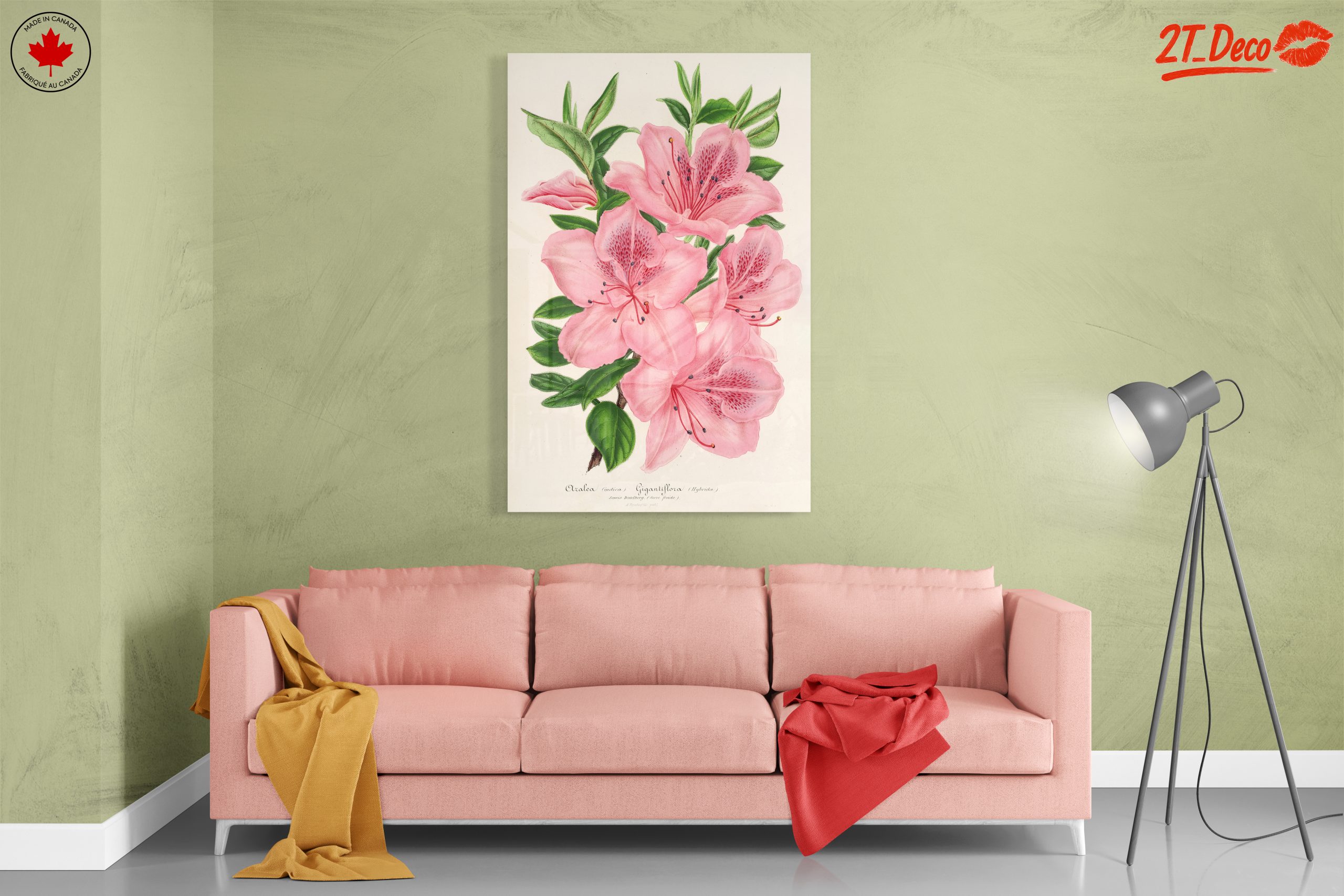 Beautiful Botanical Illustration of Pink Flowers - Image 7