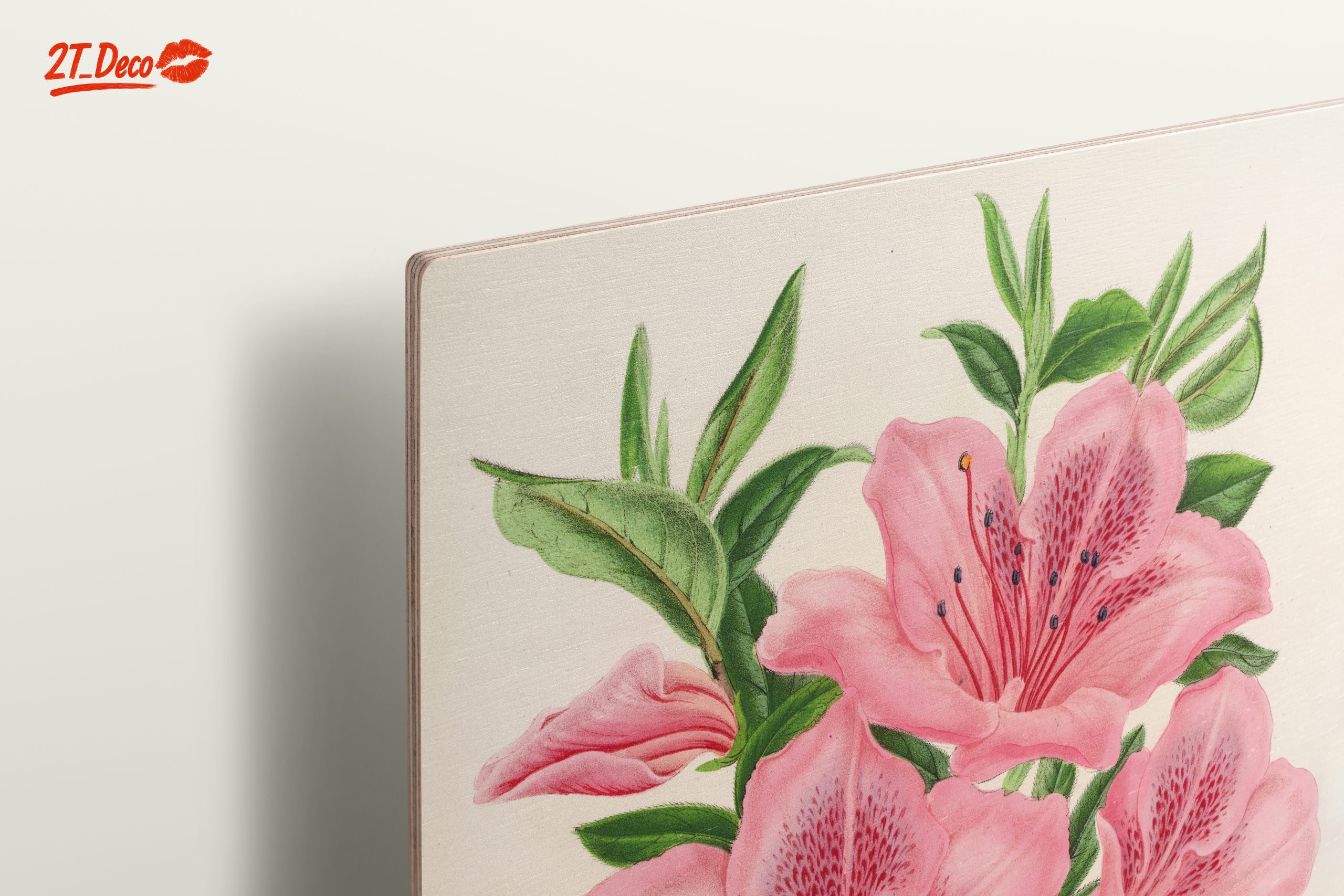 Beautiful Botanical Illustration of Pink Flowers - Image 15