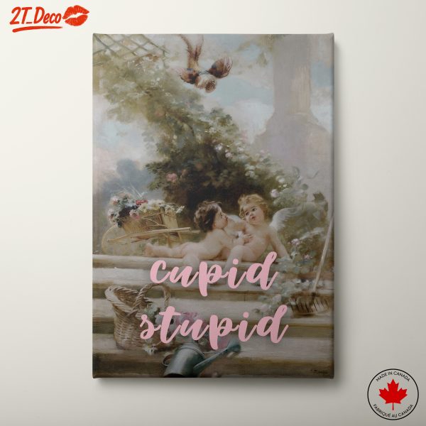 Whimsical Cupid Stupid Artwork