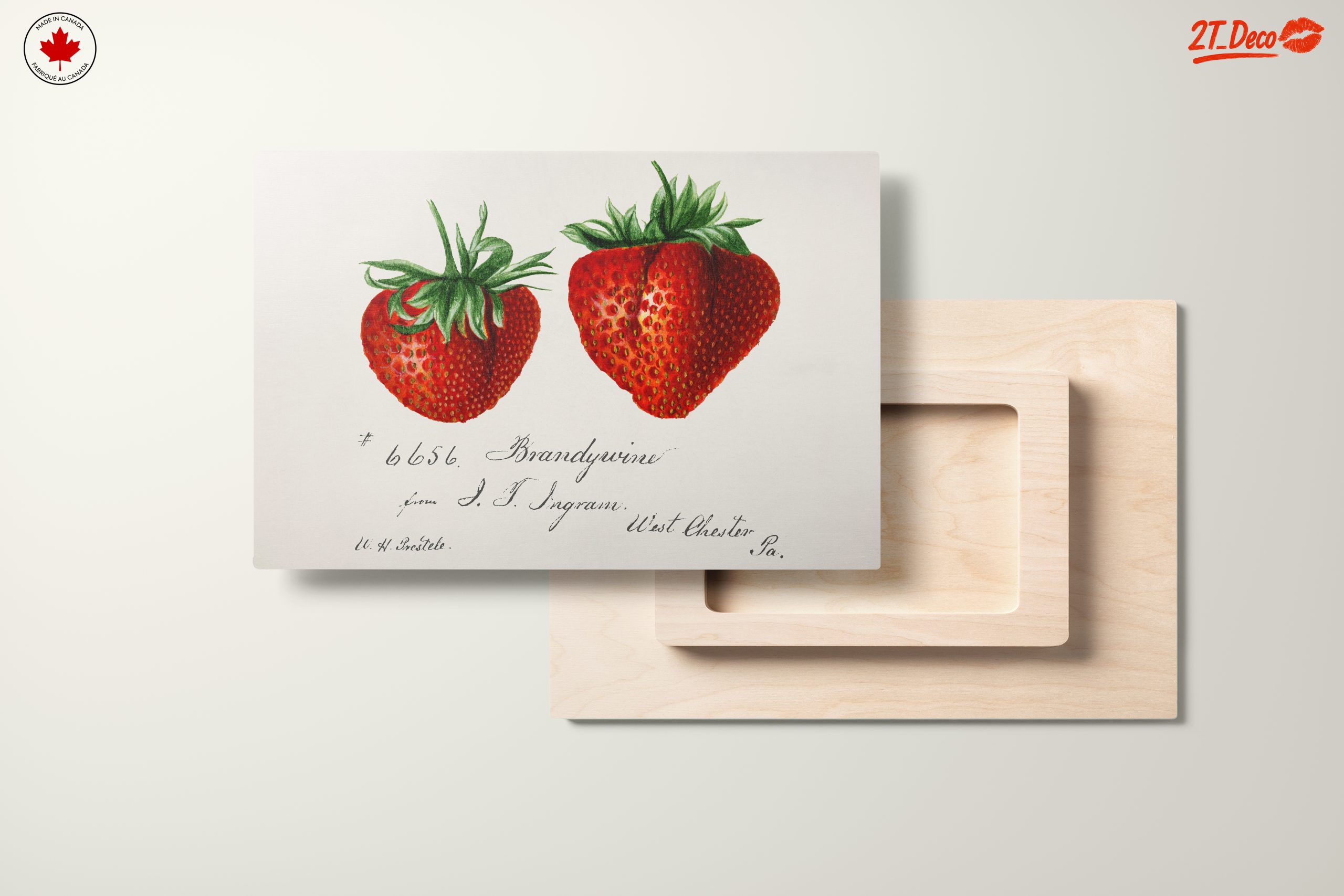 Brandywine Strawberry Botanical Illustration Art - Image 11