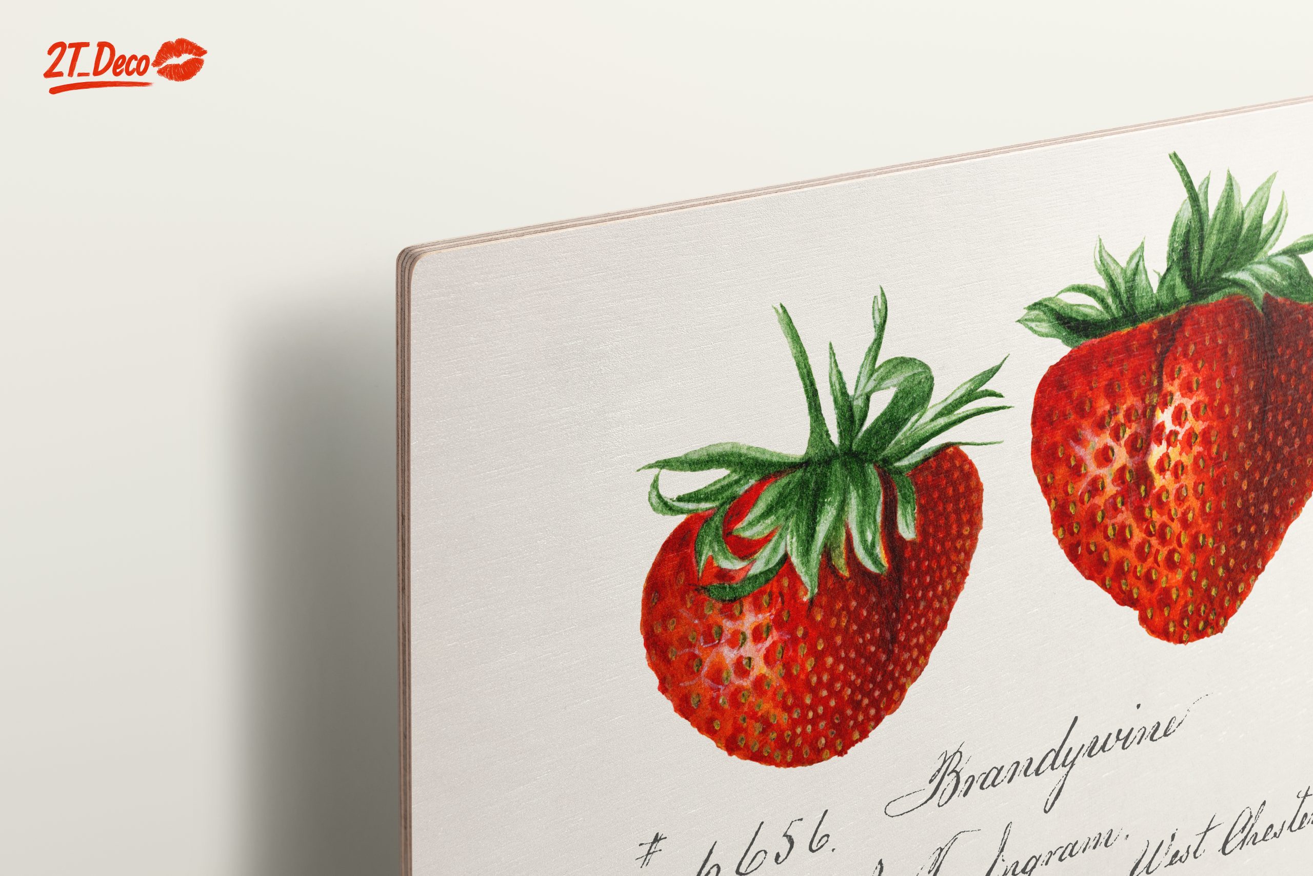 Brandywine Strawberry Botanical Illustration Art - Image 15