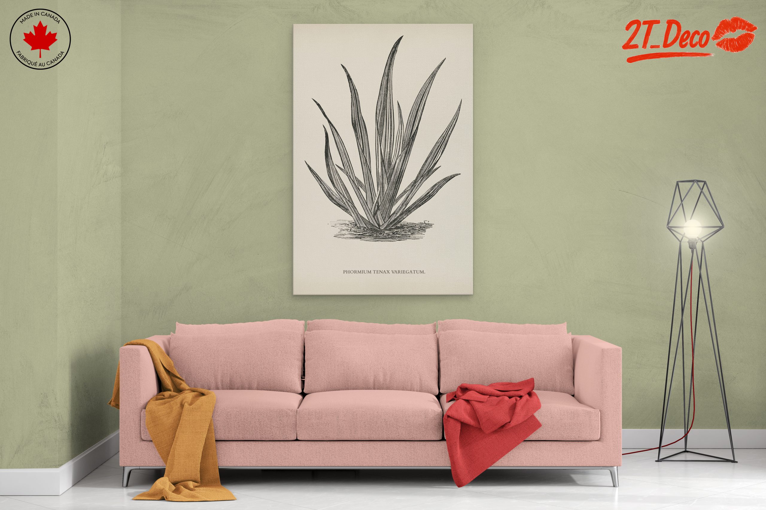 Phormium Tenax Plant Illustration - Image 2