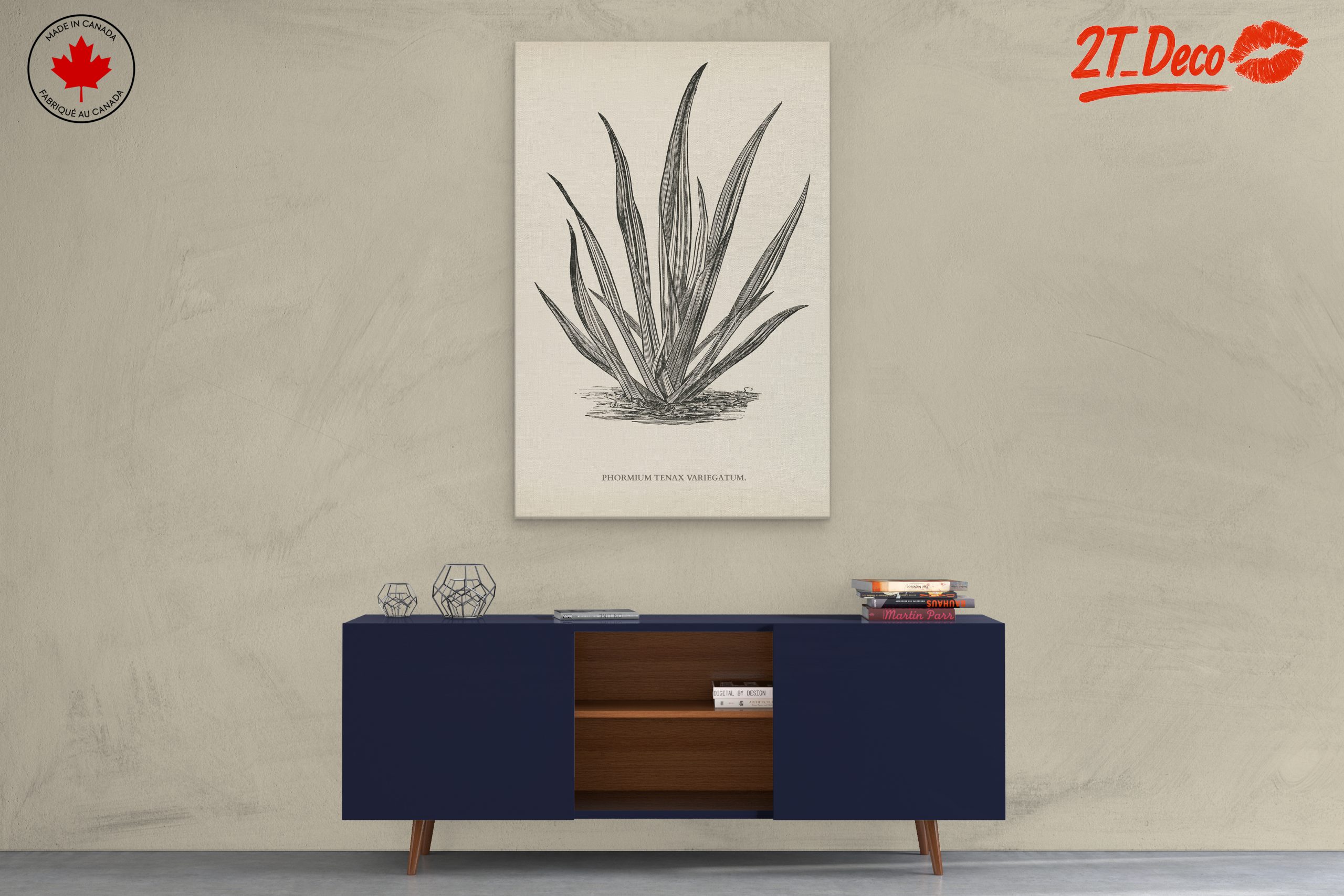 Phormium Tenax Plant Illustration - Image 3