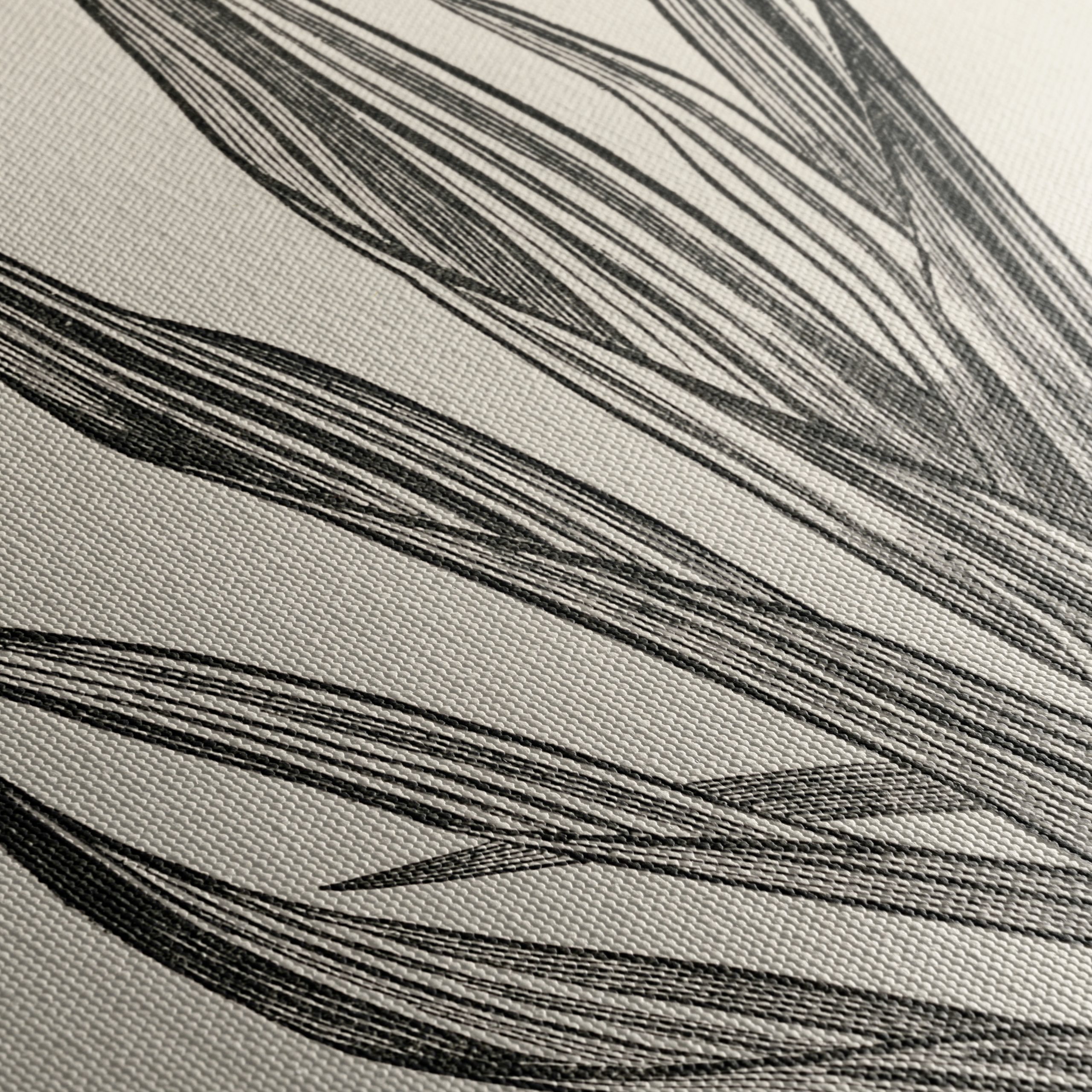 Phormium Tenax Plant Illustration - Image 5