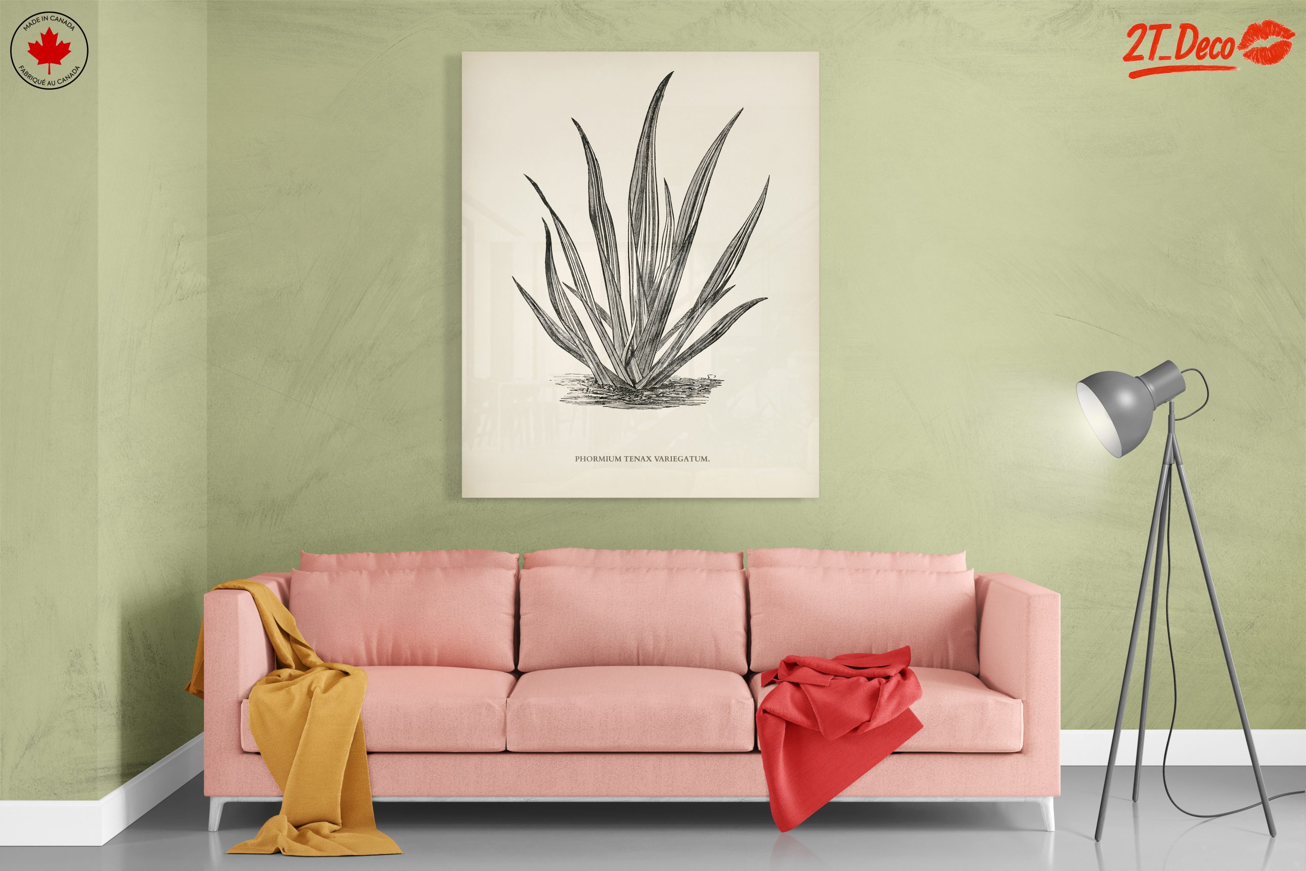 Phormium Tenax Plant Illustration - Image 7