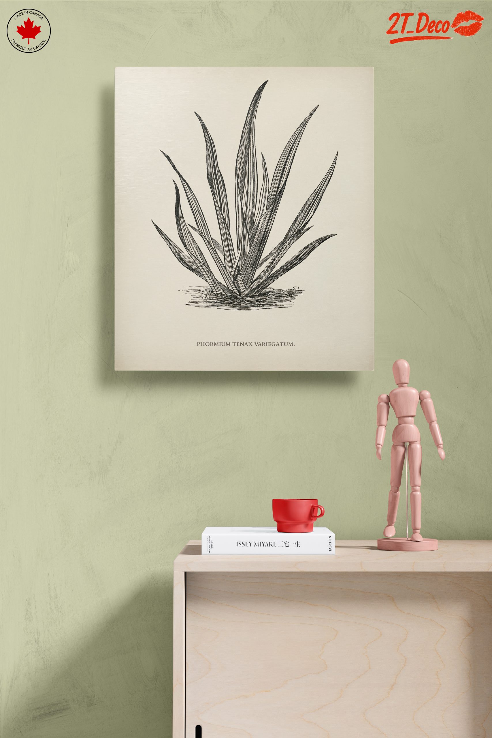Phormium Tenax Plant Illustration - Image 14