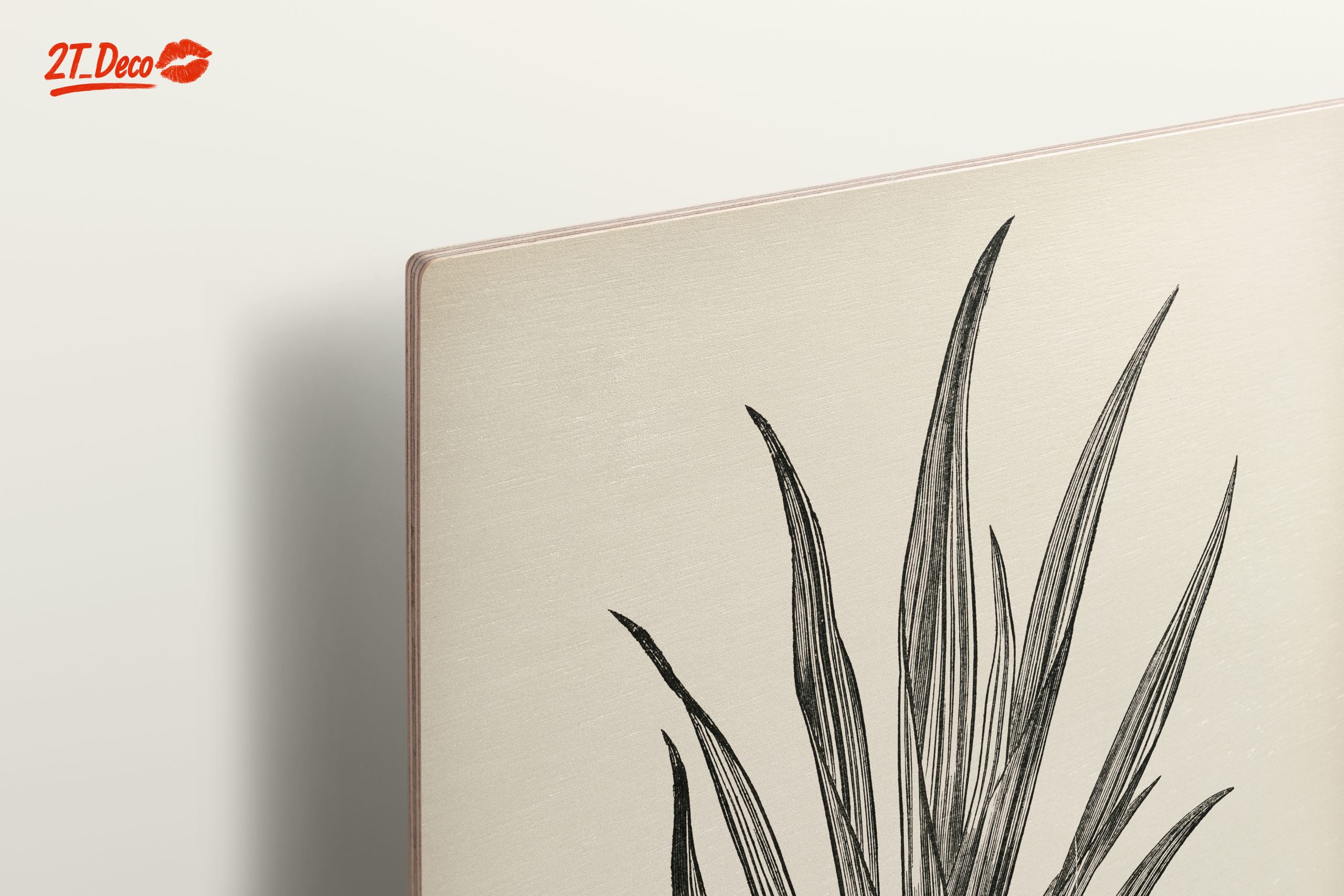 Phormium Tenax Plant Illustration - Image 15