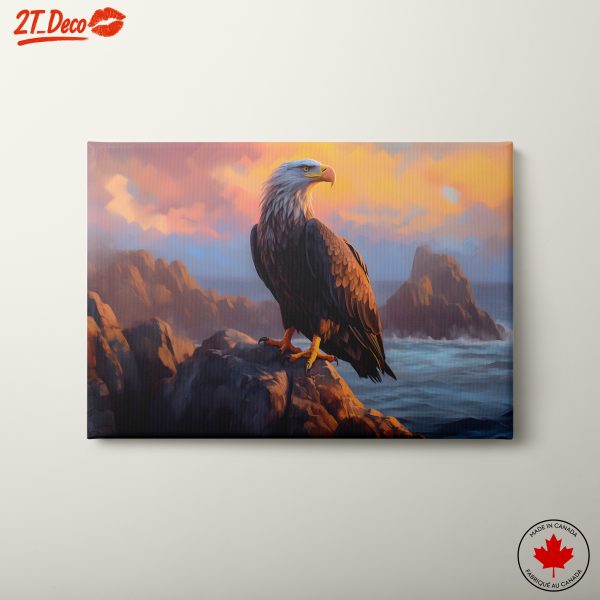 Majestic Eagle on Rocky Coastline