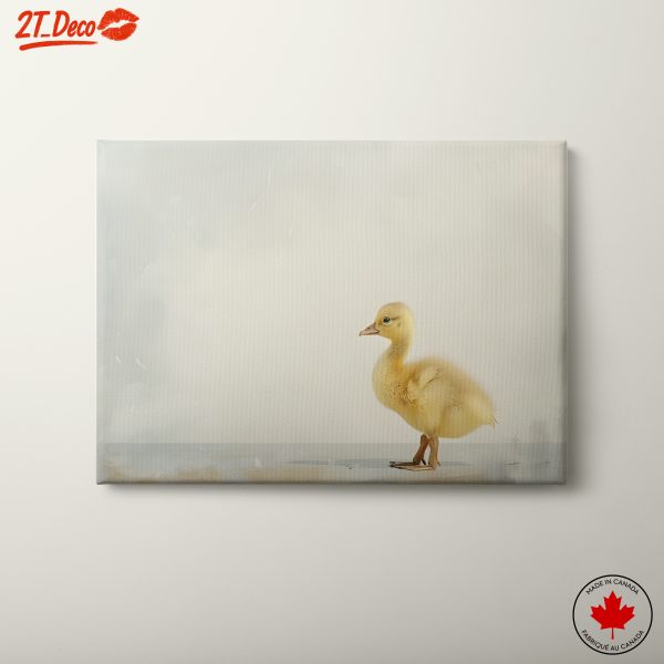 Adorable Duckling Cute Animal Art
