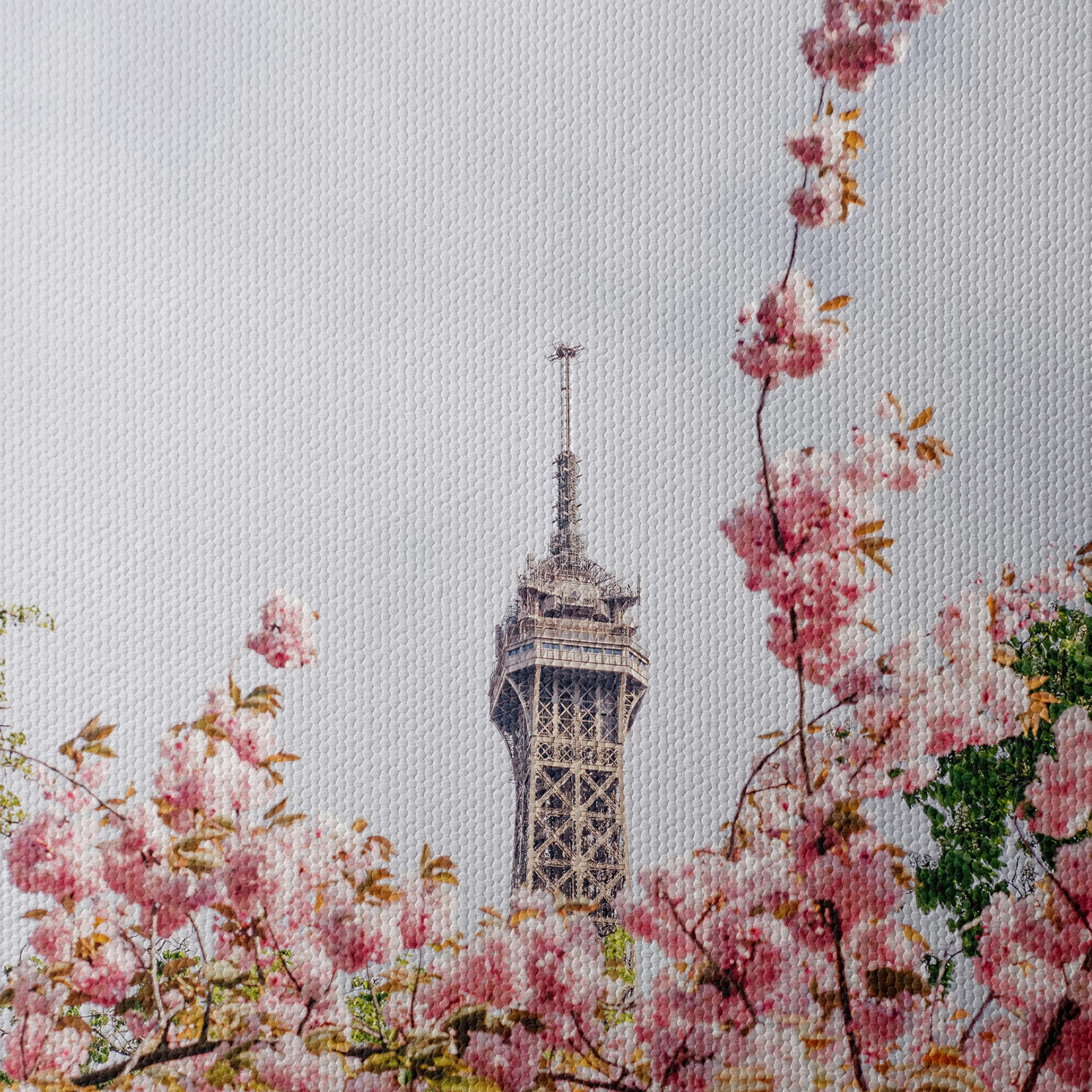 Eiffel Tower Blooming Cherry Blossom Artwork - Image 4
