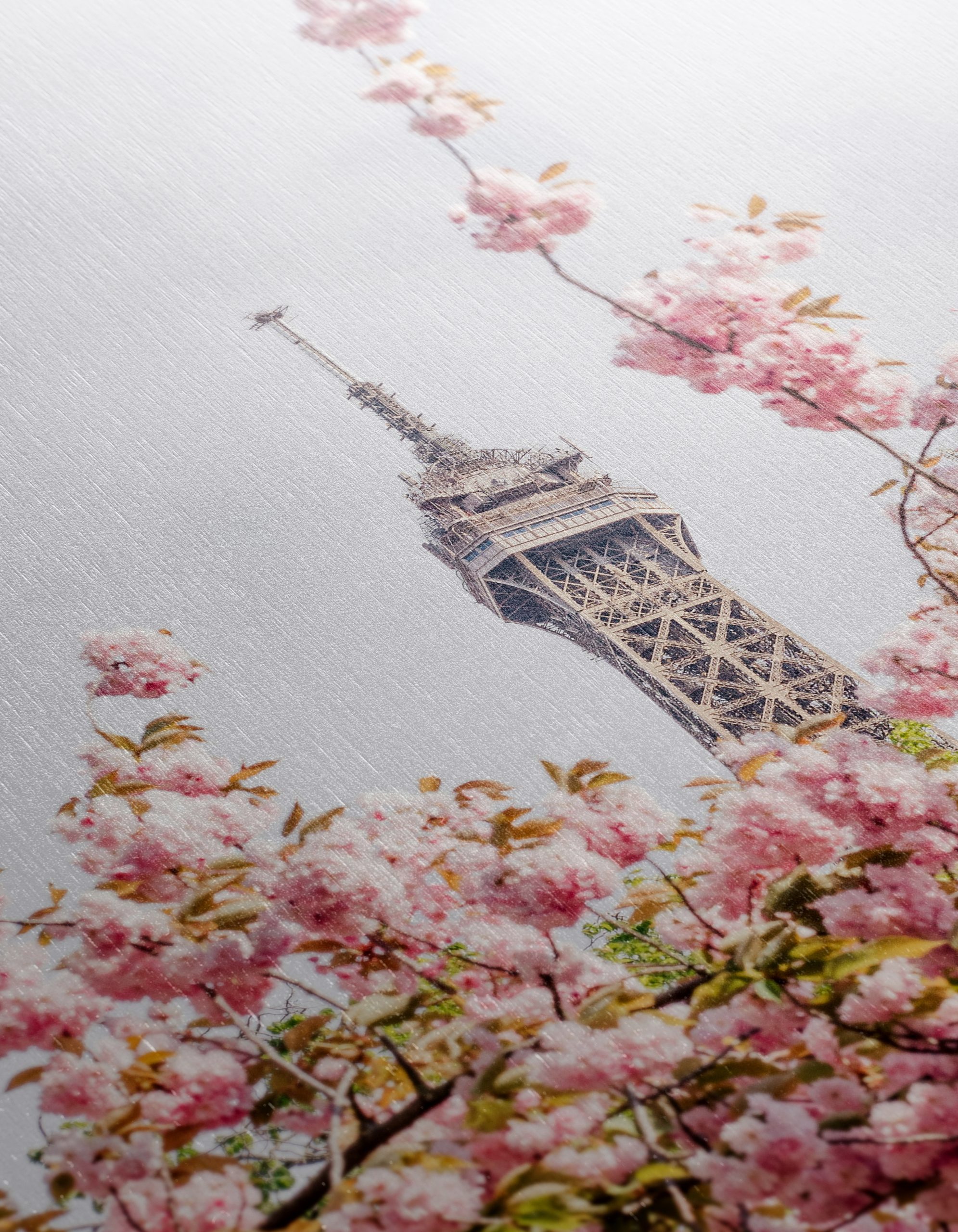 Eiffel Tower Blooming Cherry Blossom Artwork - Image 12