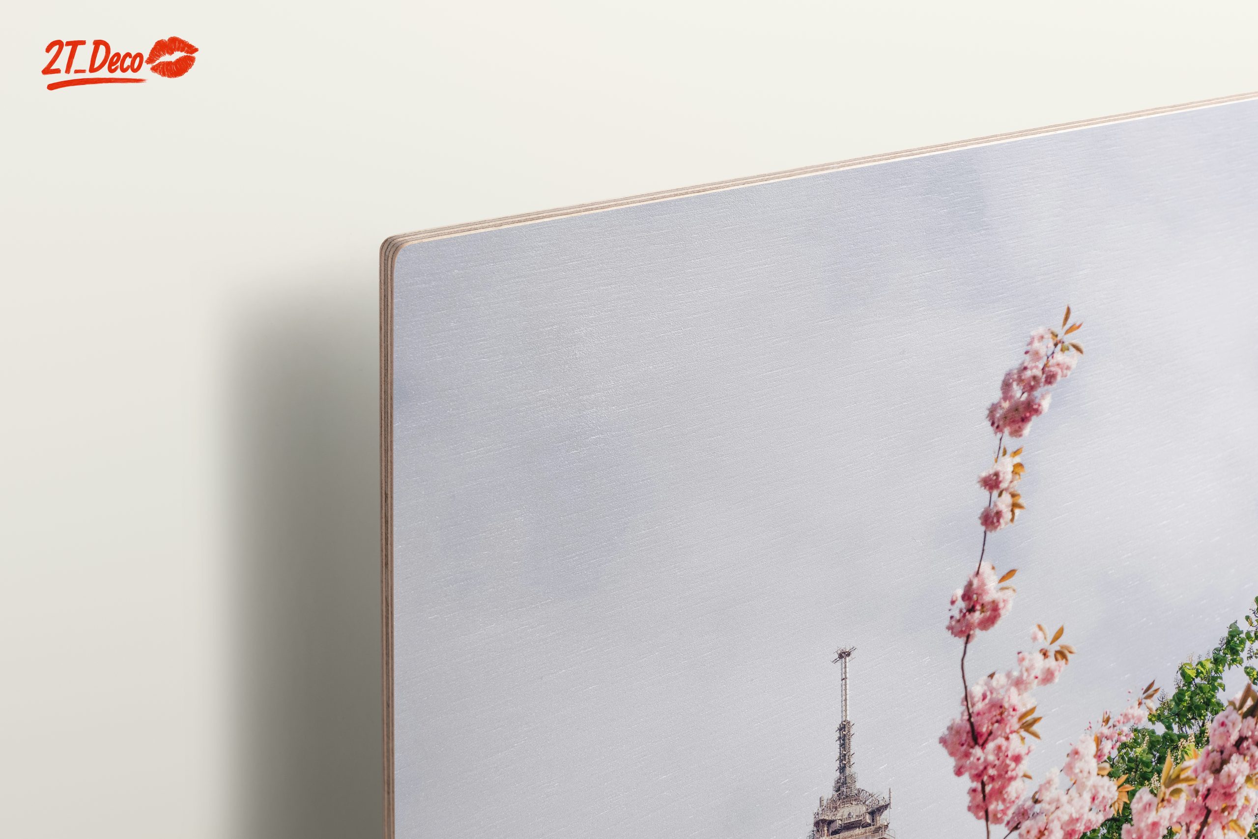 Eiffel Tower Blooming Cherry Blossom Artwork - Image 15