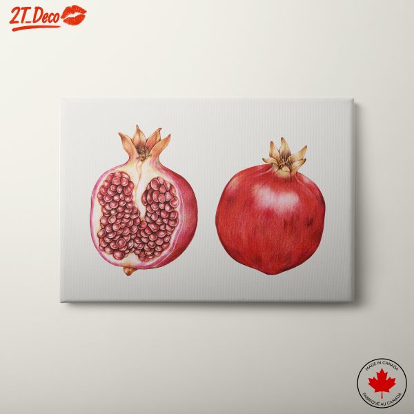 Stylized Pomegranate Artwork
