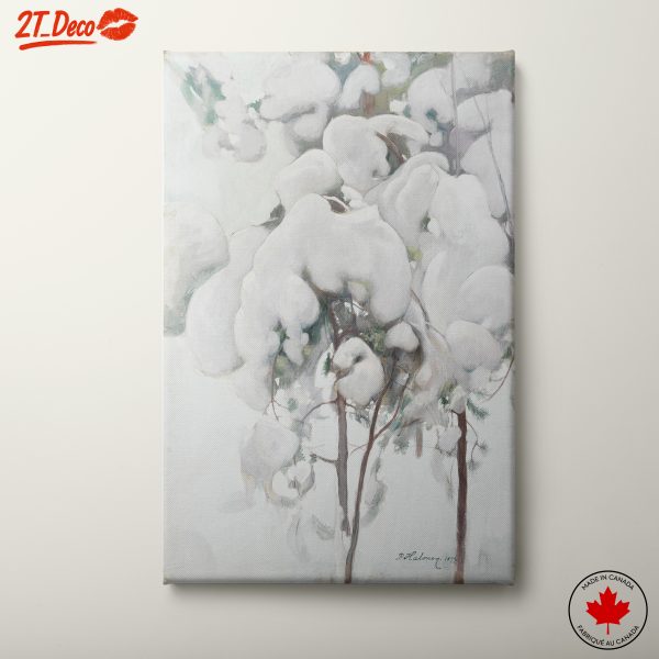Snow-Covered Trees in Gentle Winter Light