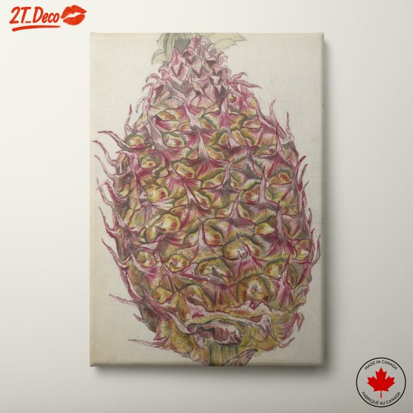 Colorful Abstract Pineapple Illustration