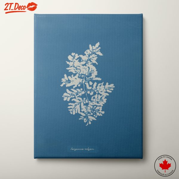 Elegant Botanical Art in Blue