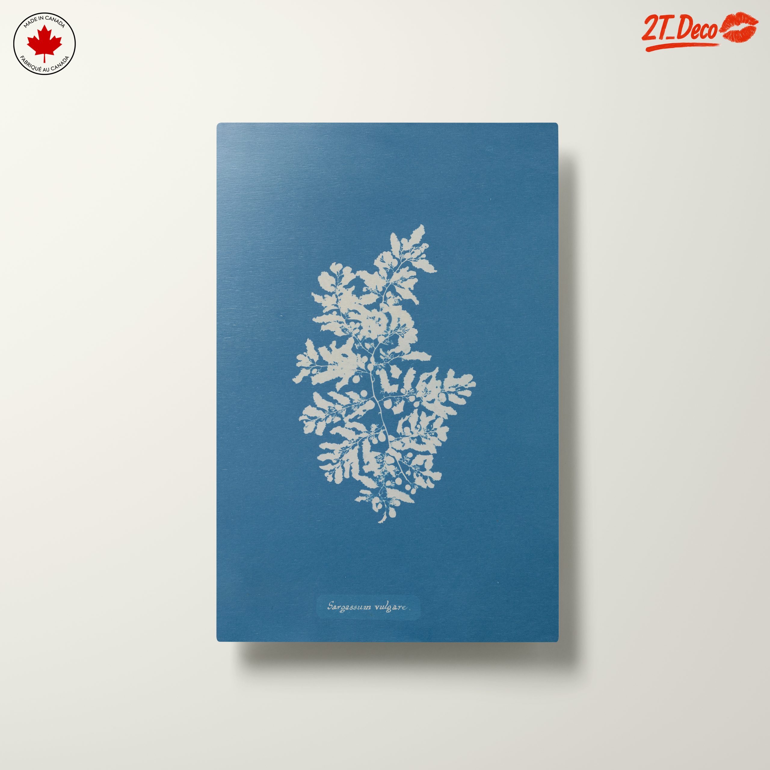 Elegant Botanical Art in Blue - Image 10