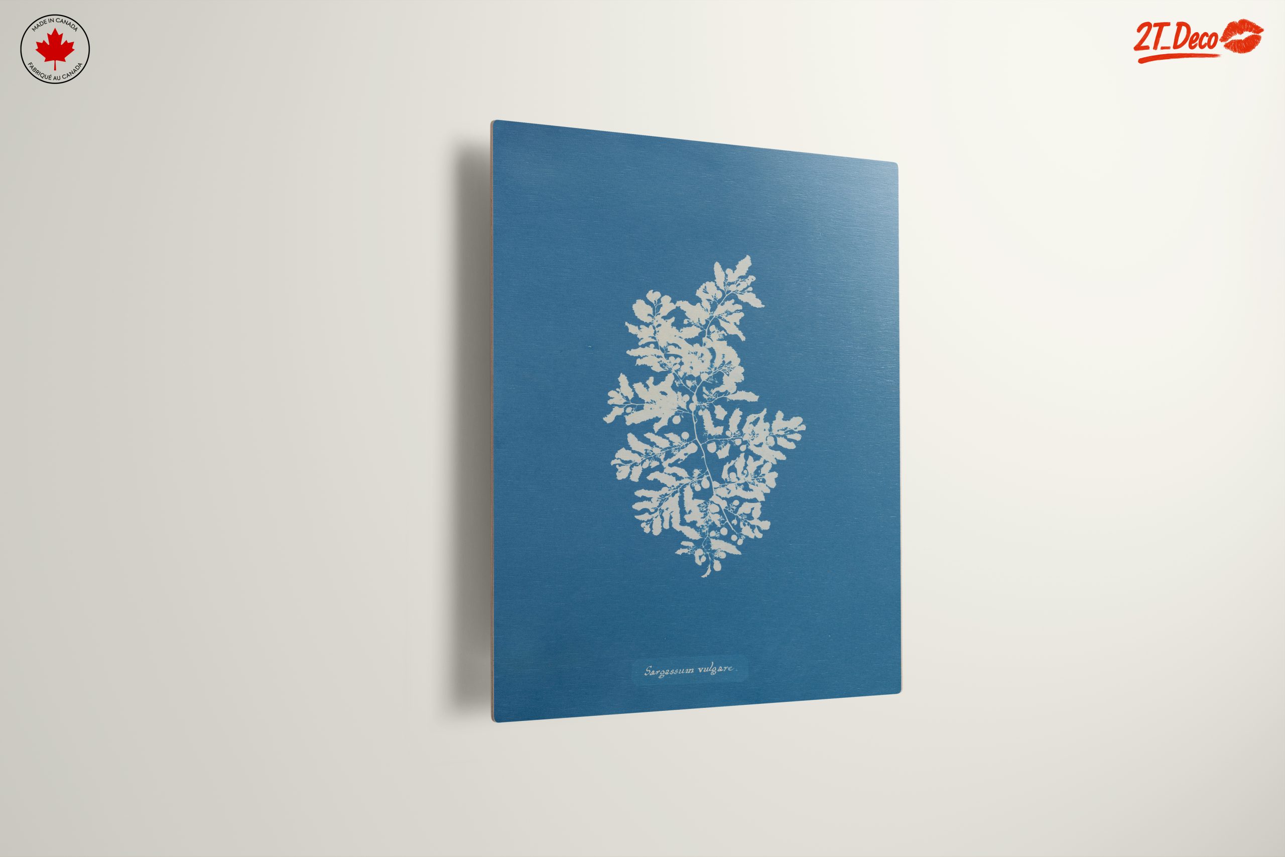 Elegant Botanical Art in Blue - Image 13
