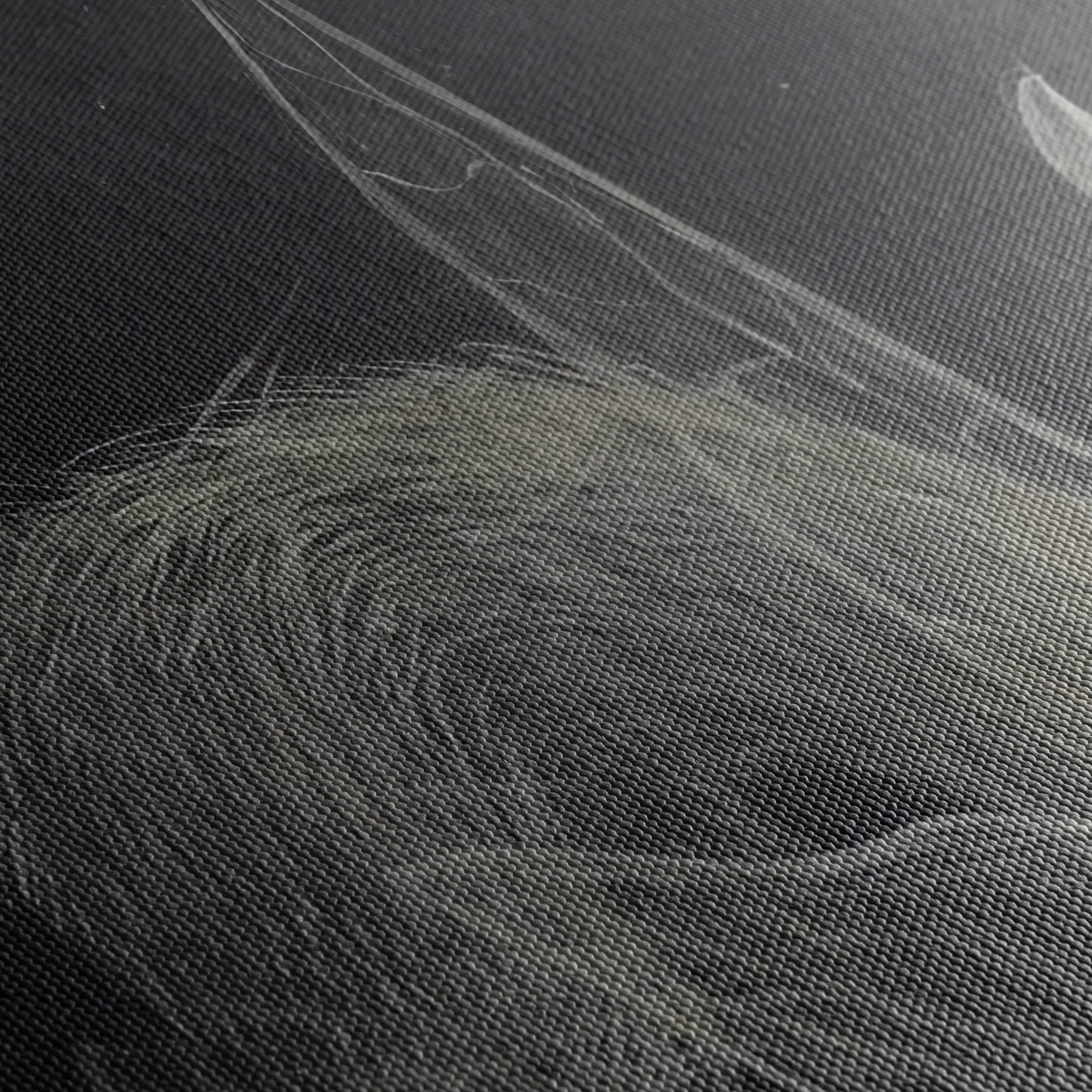 Surreal Creature Illustration with Wings - Image 5