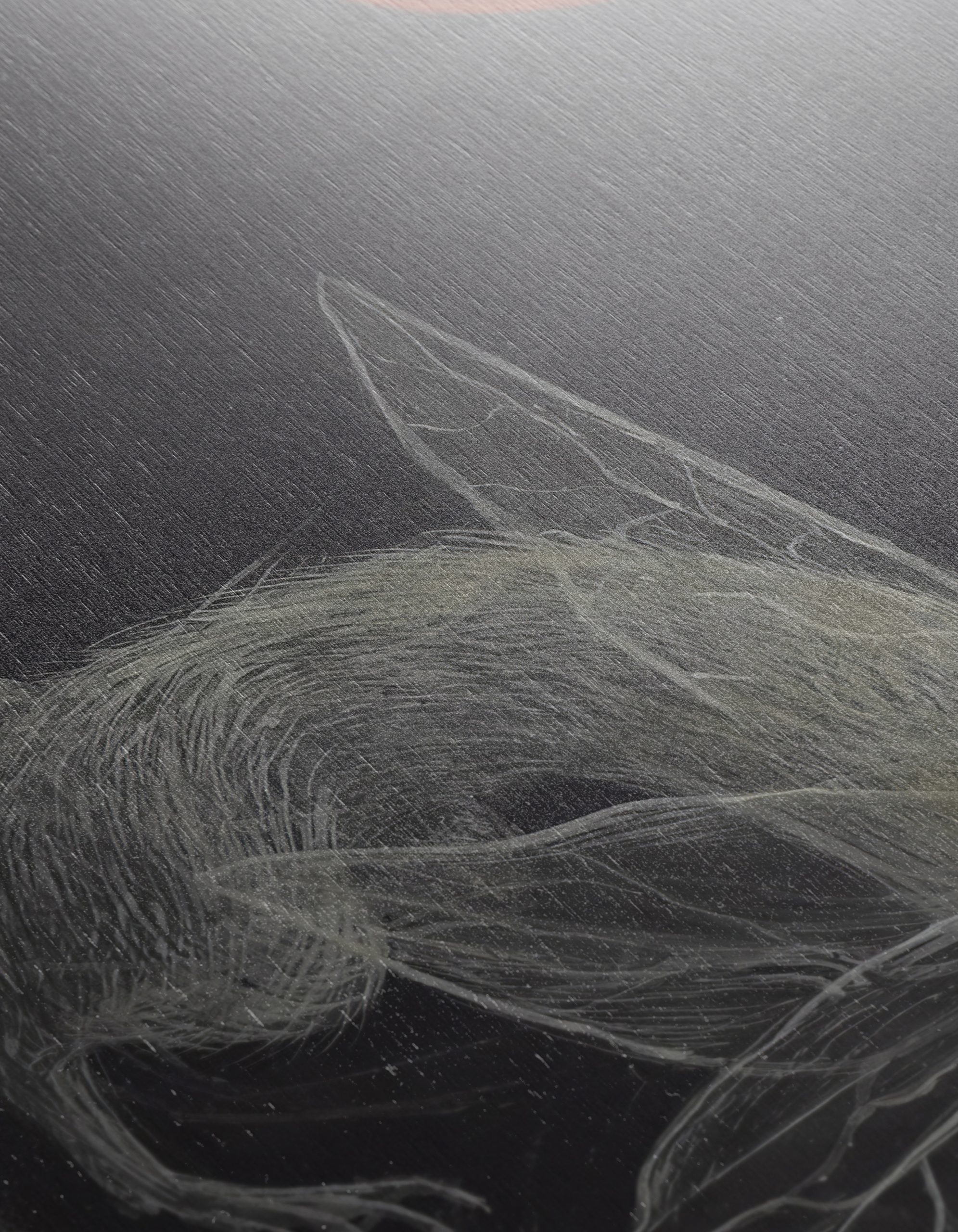 Surreal Creature Illustration with Wings - Image 12