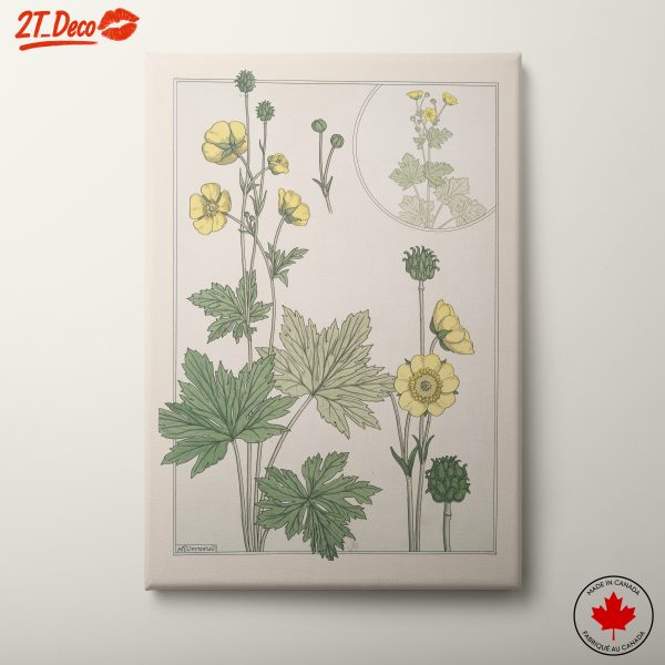 Detailed Botanical Illustration of Yellow Flowers