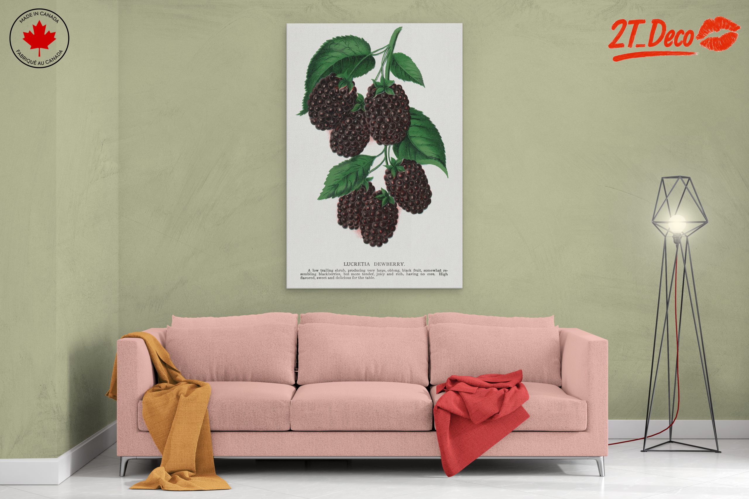 Lucretia Dewberry Botanical Illustration - Image 2