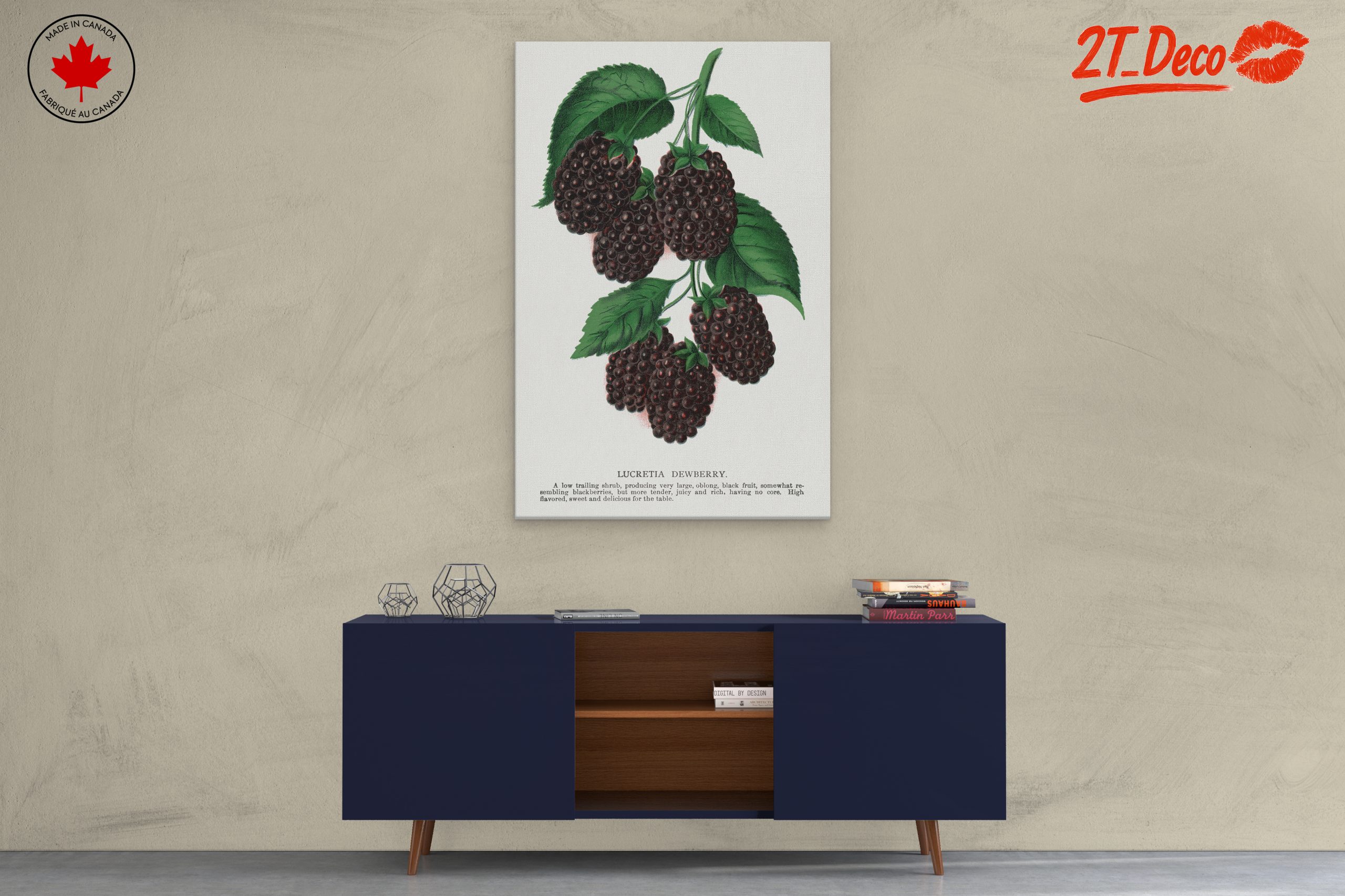 Lucretia Dewberry Botanical Illustration - Image 3