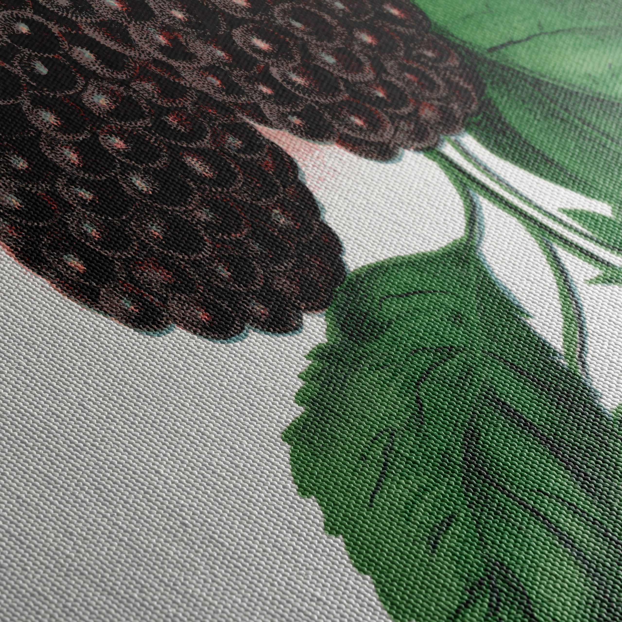 Lucretia Dewberry Botanical Illustration - Image 5