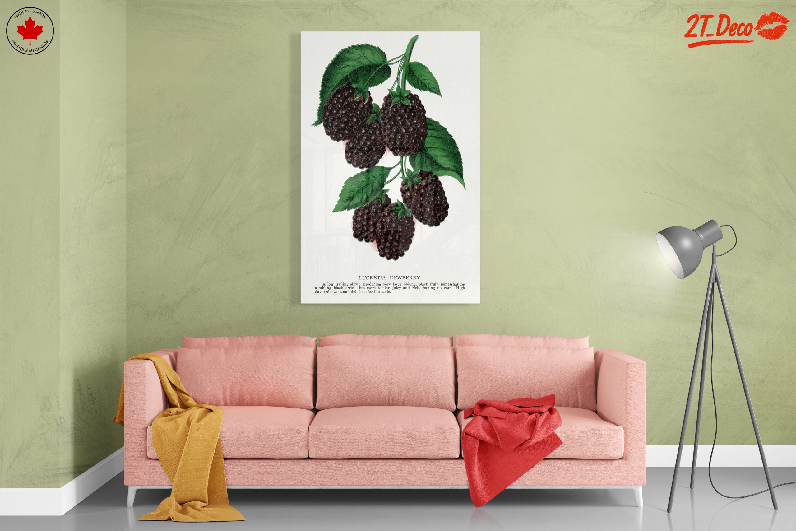 Lucretia Dewberry Botanical Illustration - Image 7
