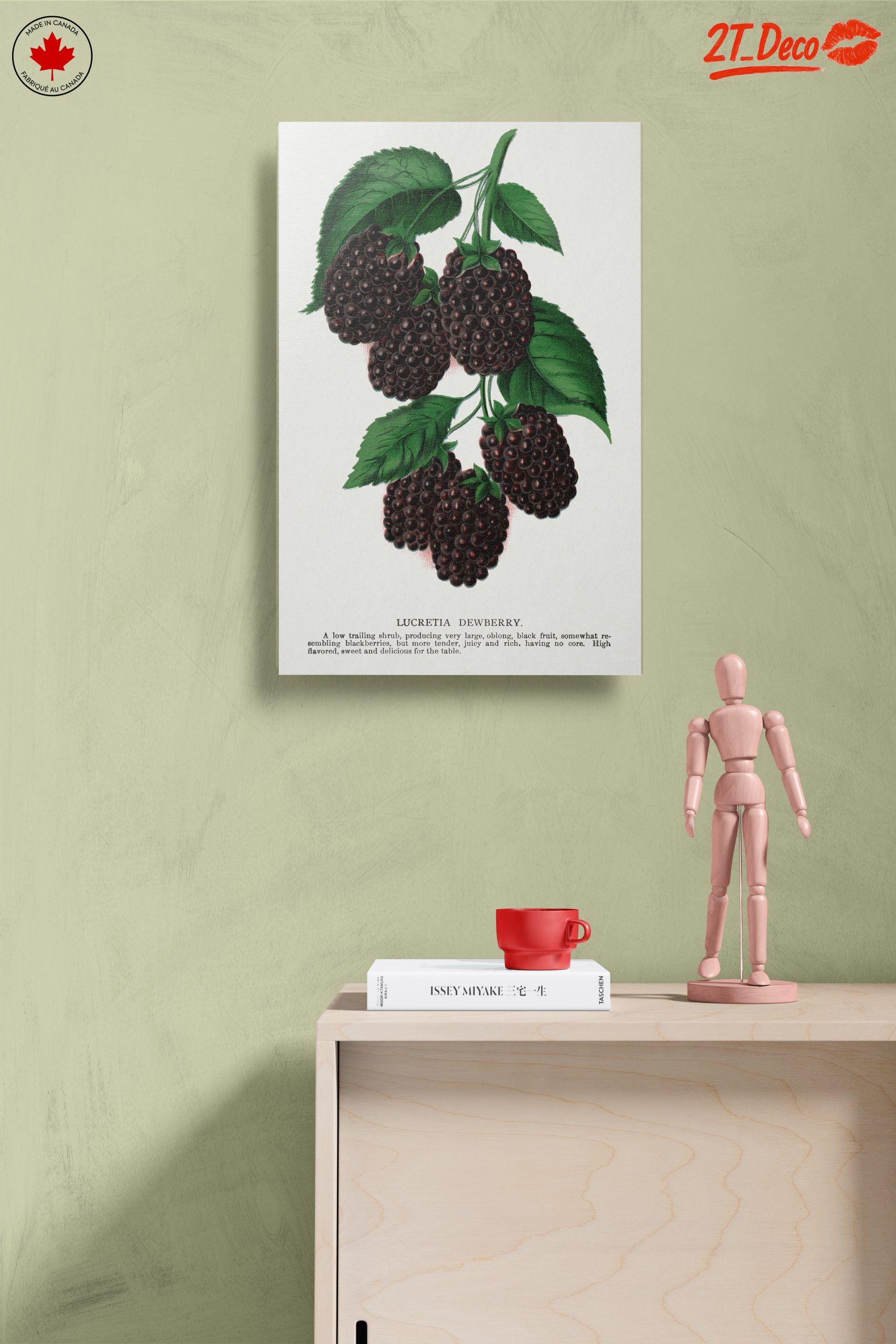 Lucretia Dewberry Botanical Illustration - Image 14