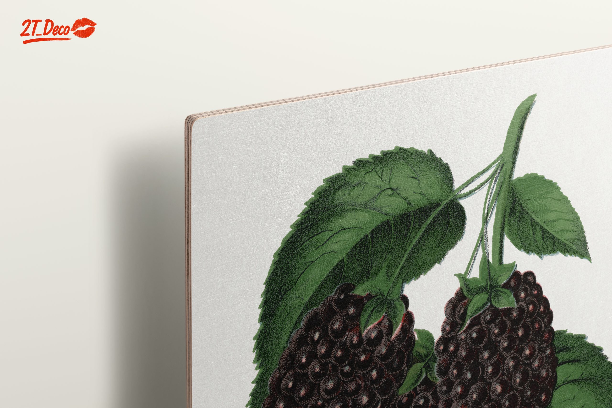 Lucretia Dewberry Botanical Illustration - Image 15