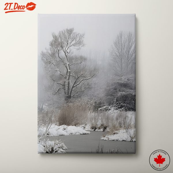 Serene Winter Landscape with Bare Trees 2