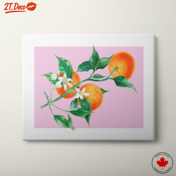 Oranges and Blossoms Botanical Art