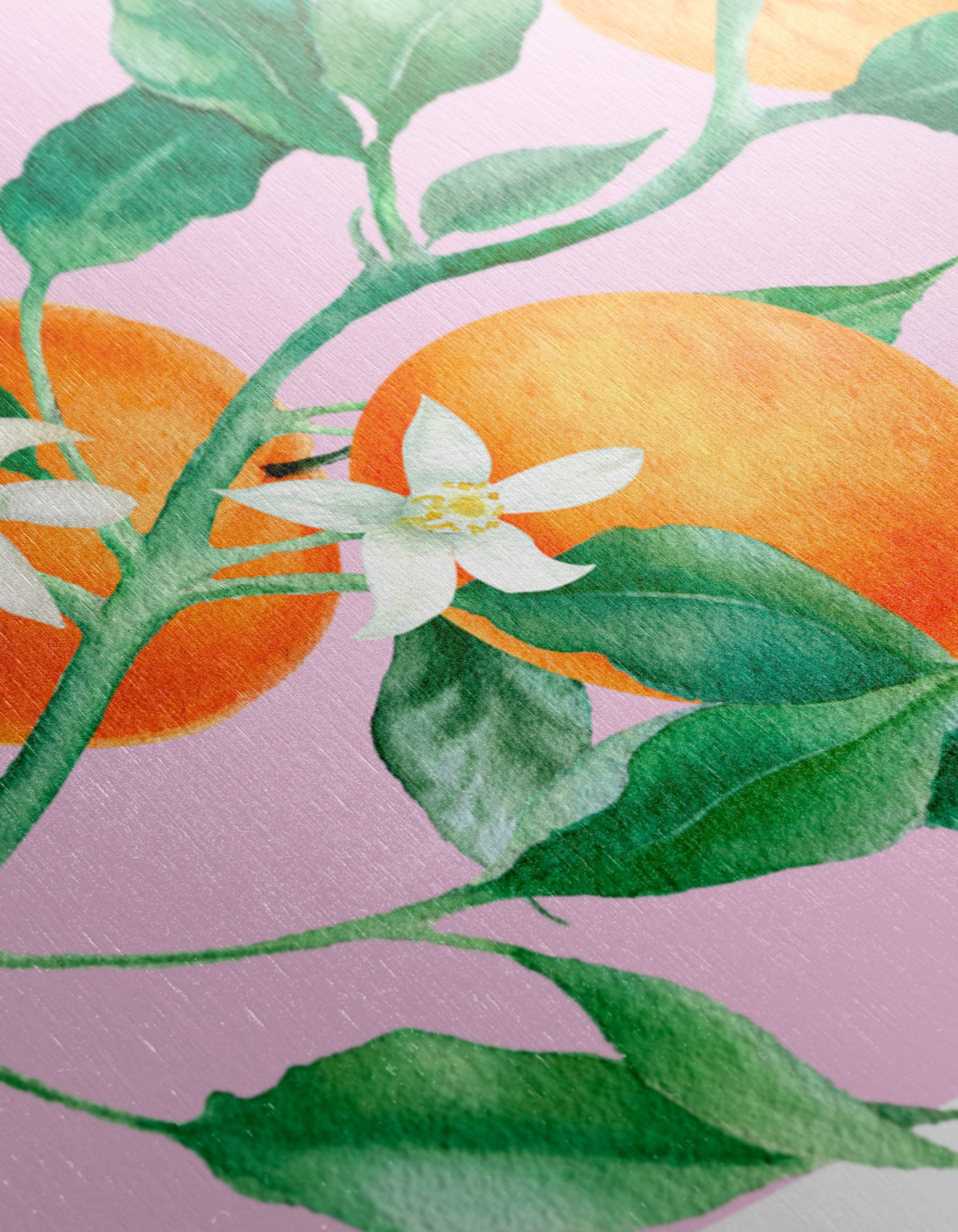 Oranges and Blossoms Botanical Art - Image 12