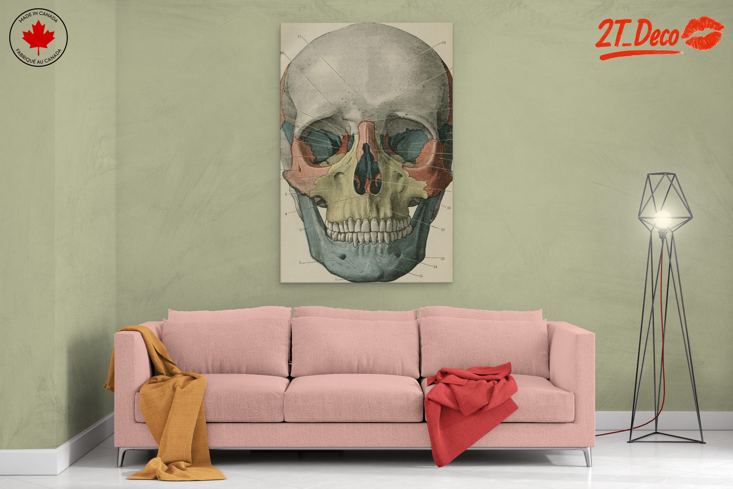 Detailed Anatomical Skull Illustration - Image 2