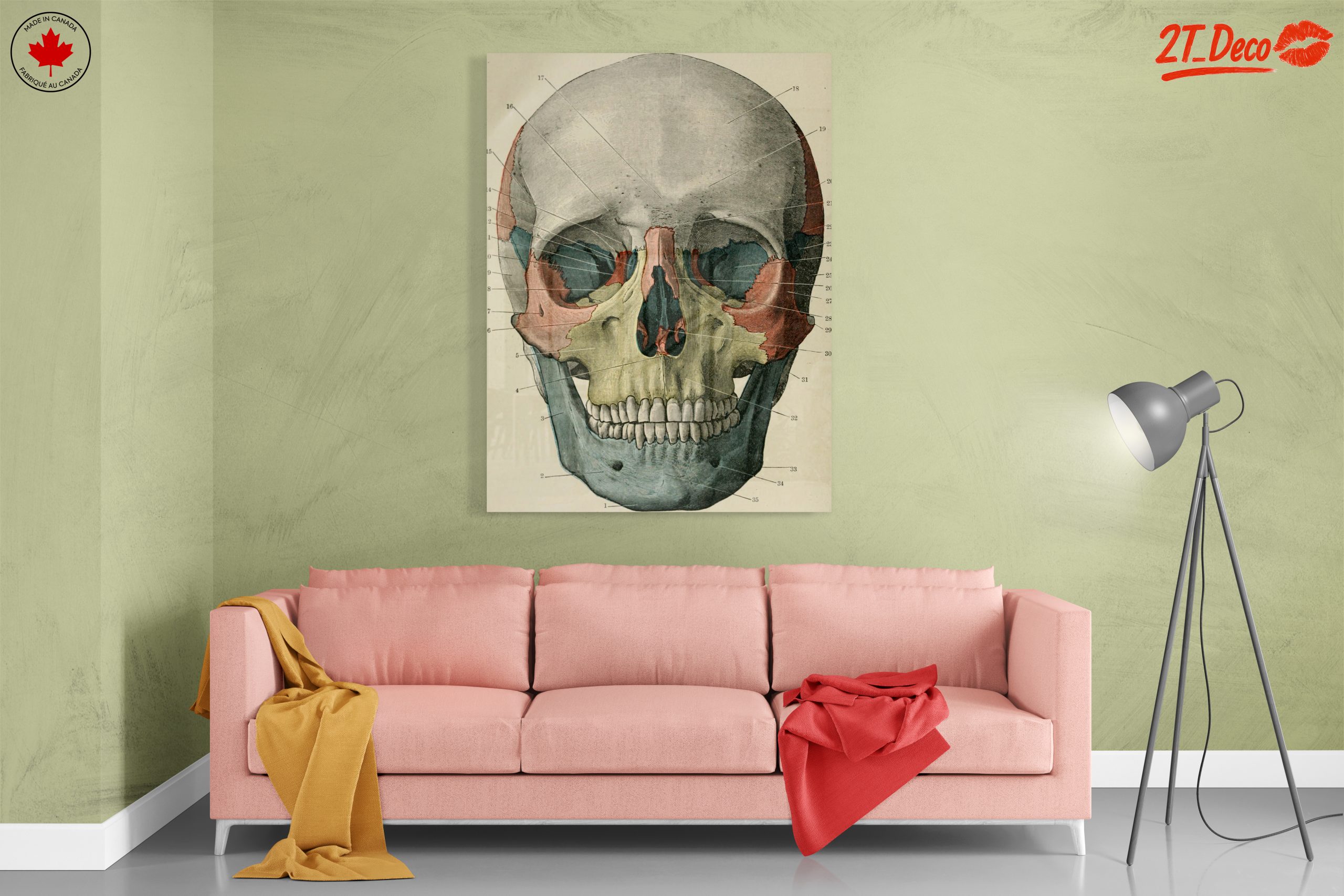 Detailed Anatomical Skull Illustration - Image 7