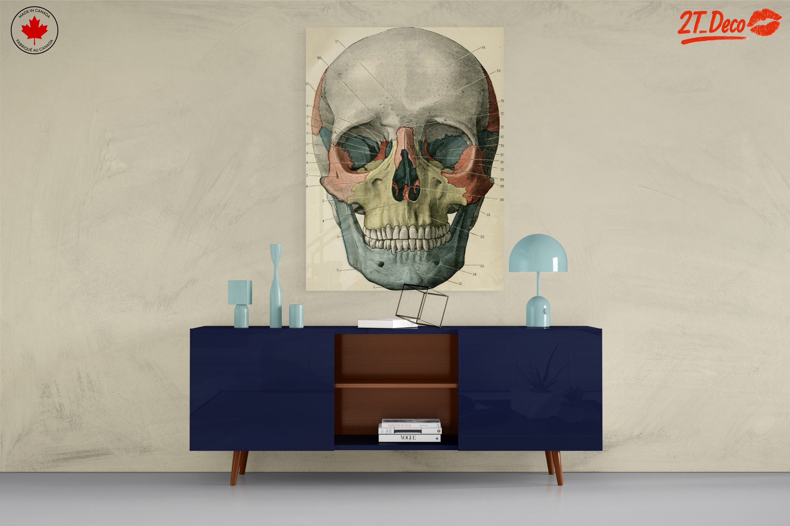Detailed Anatomical Skull Illustration - Image 8