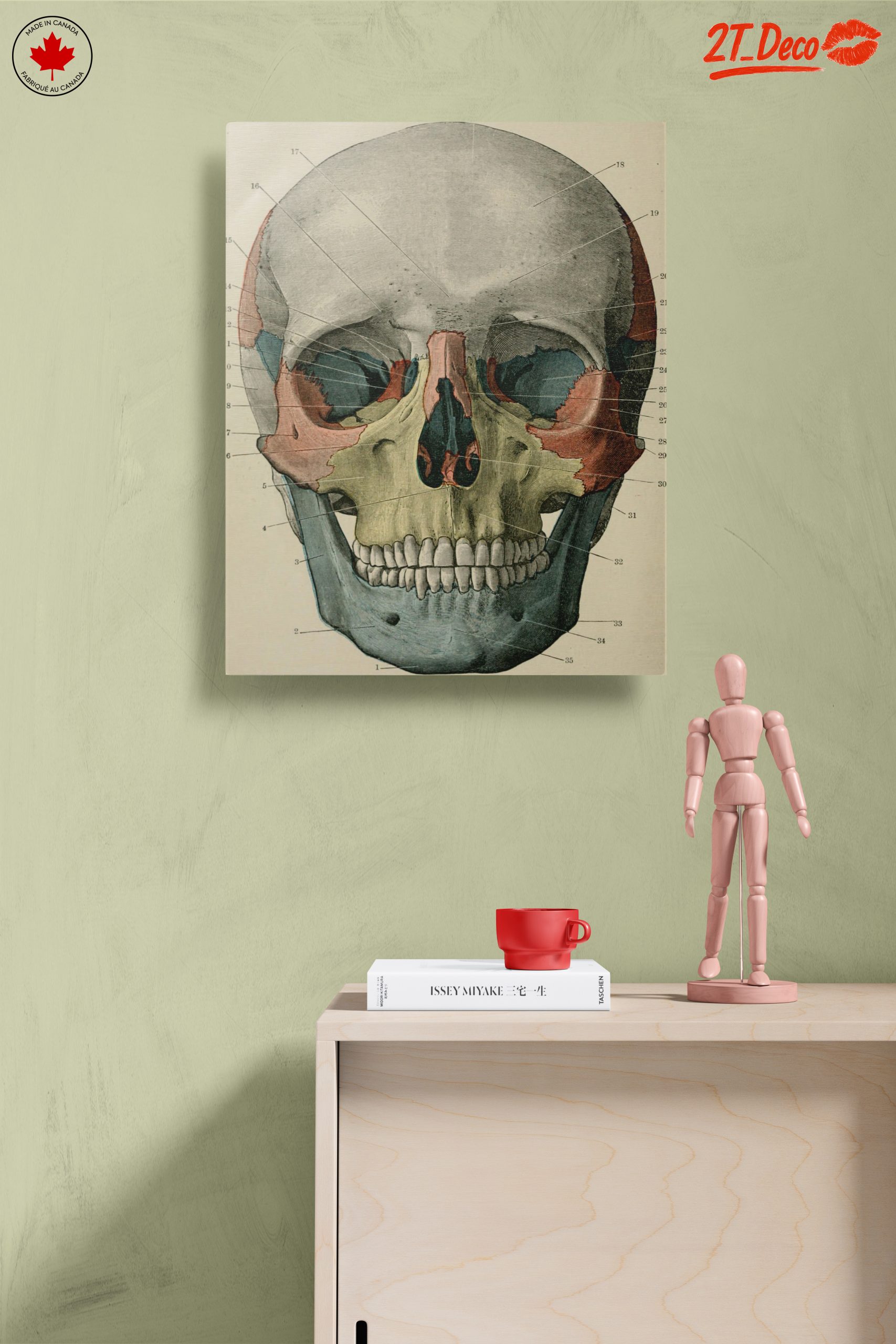 Detailed Anatomical Skull Illustration - Image 14