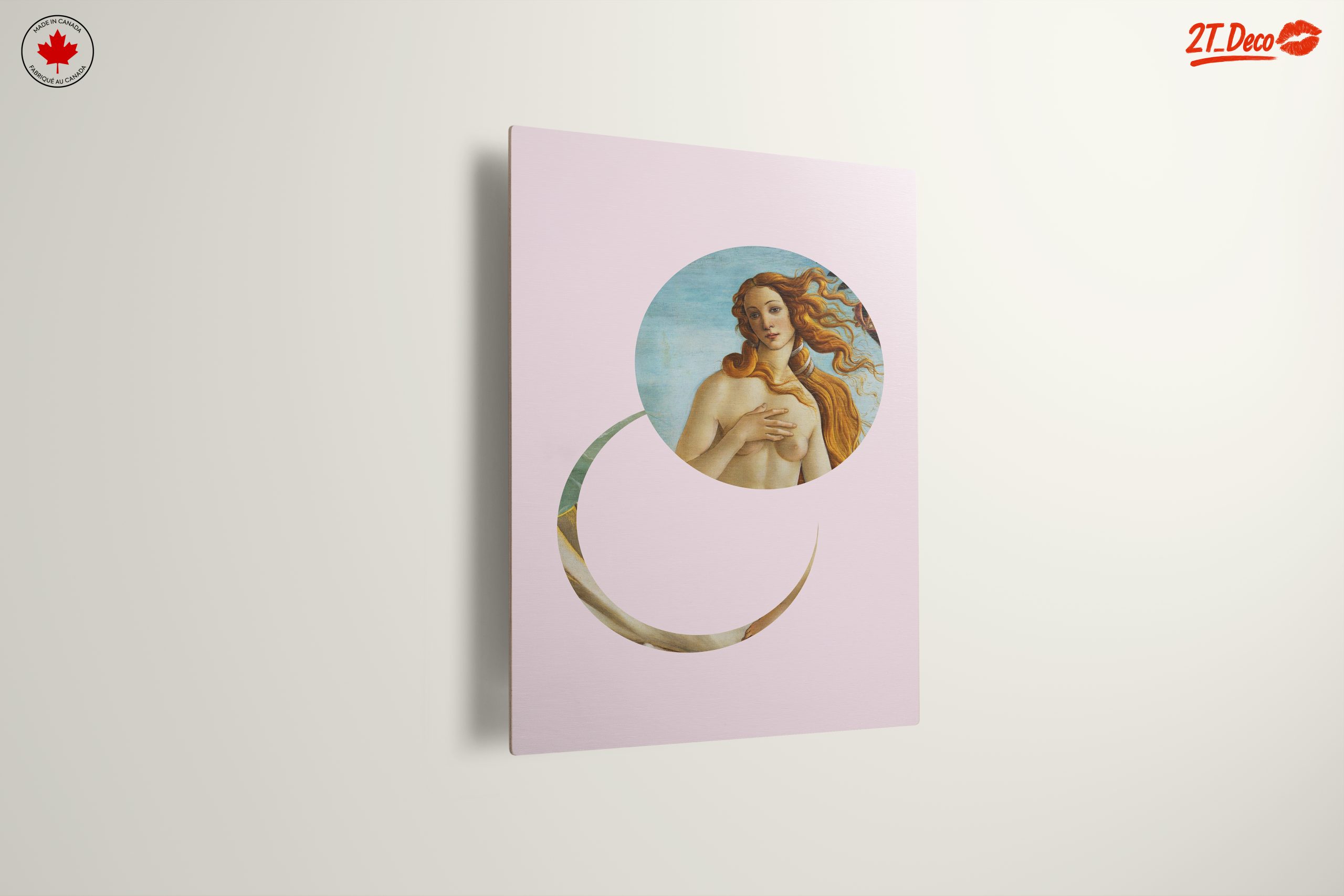 Modern Venus Figure in Circular Composition - Image 13