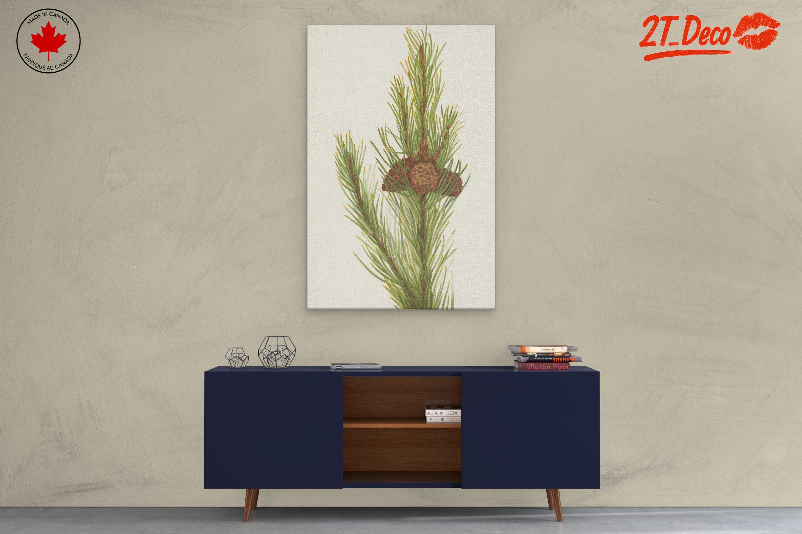 Detailed Botanical Illustration of Pine - Image 3