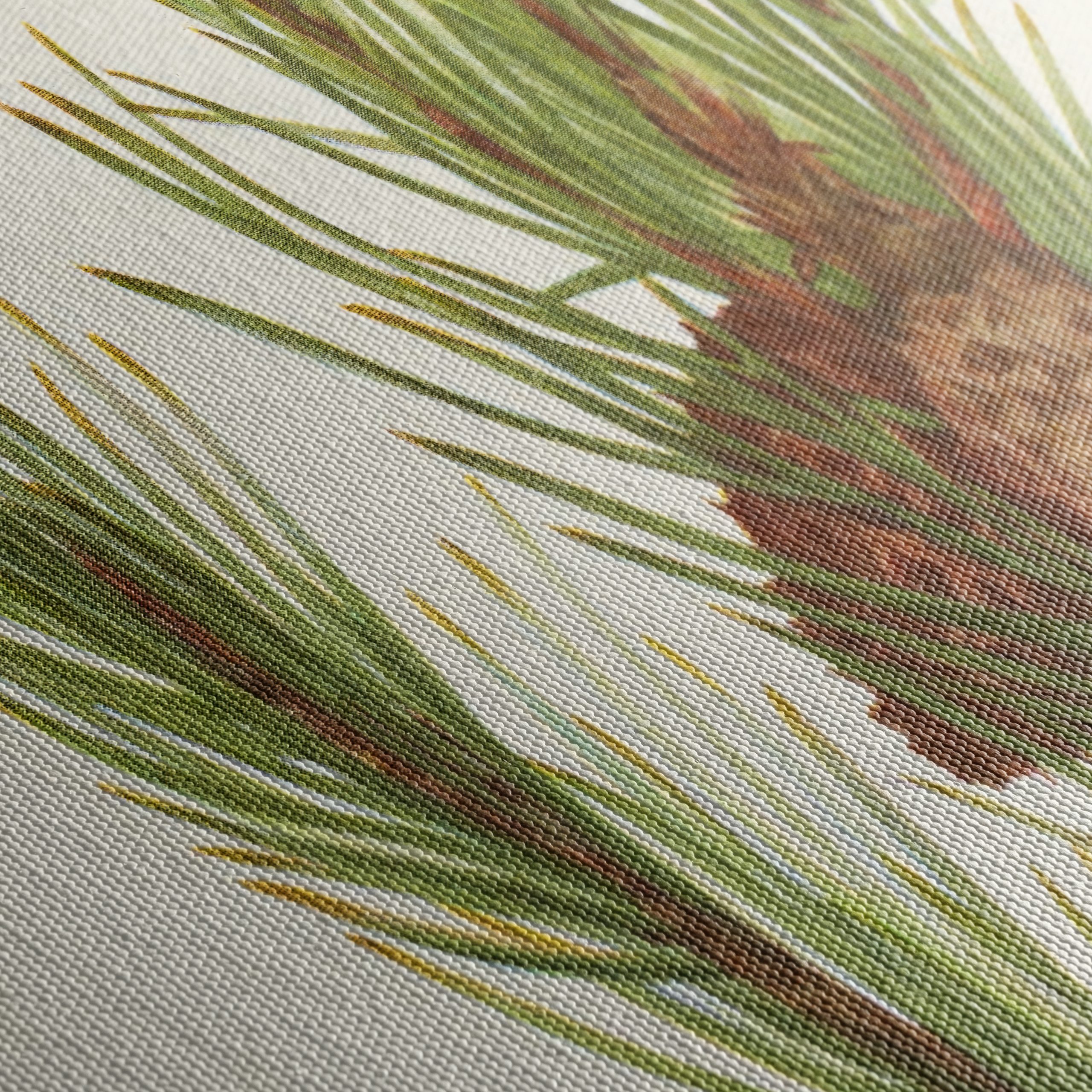 Detailed Botanical Illustration of Pine - Image 5
