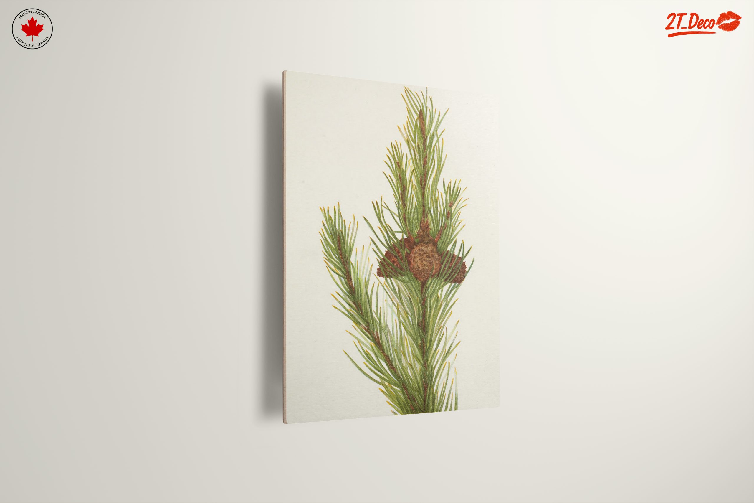 Detailed Botanical Illustration of Pine - Image 13